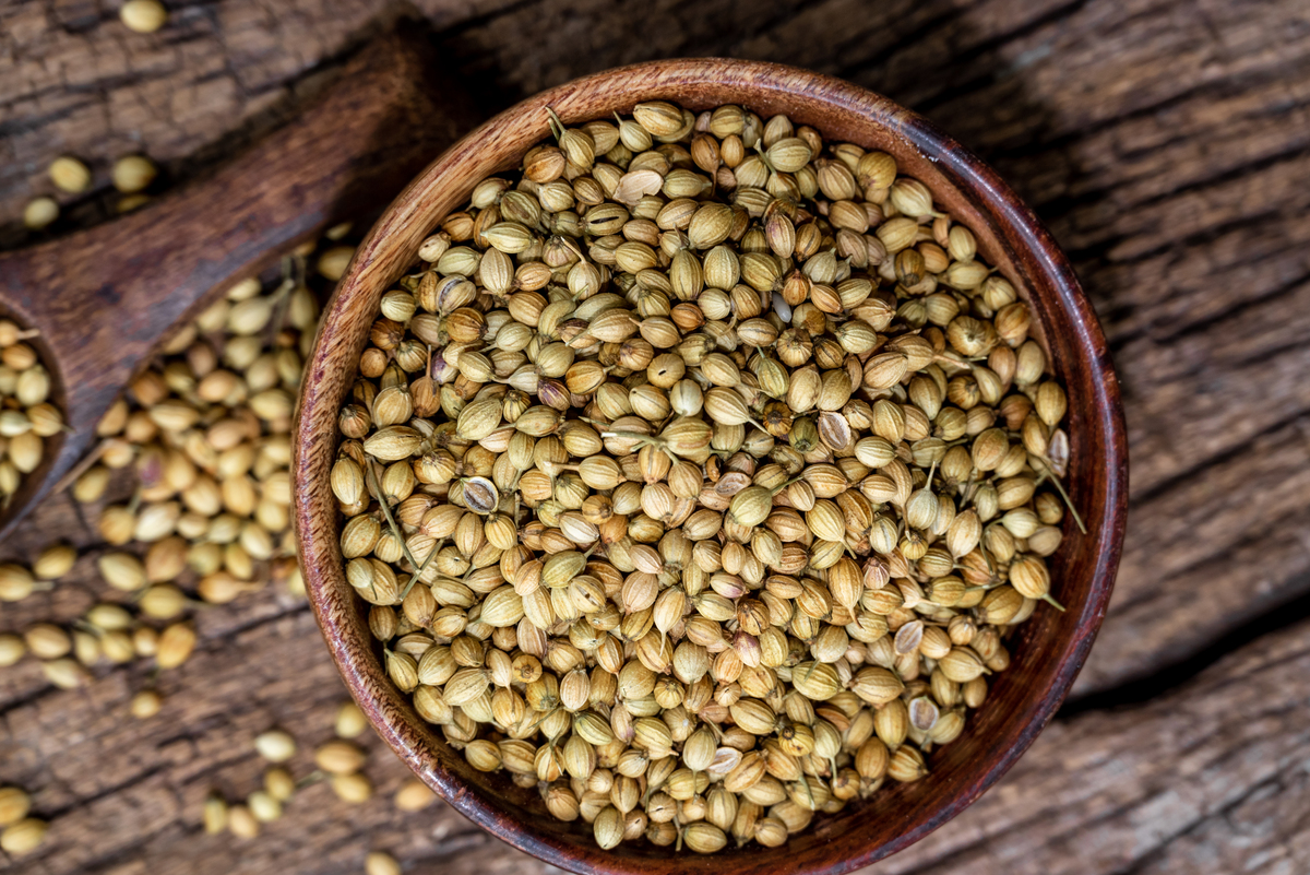 油莎豆：营养丰富，用途广泛的豆科植物