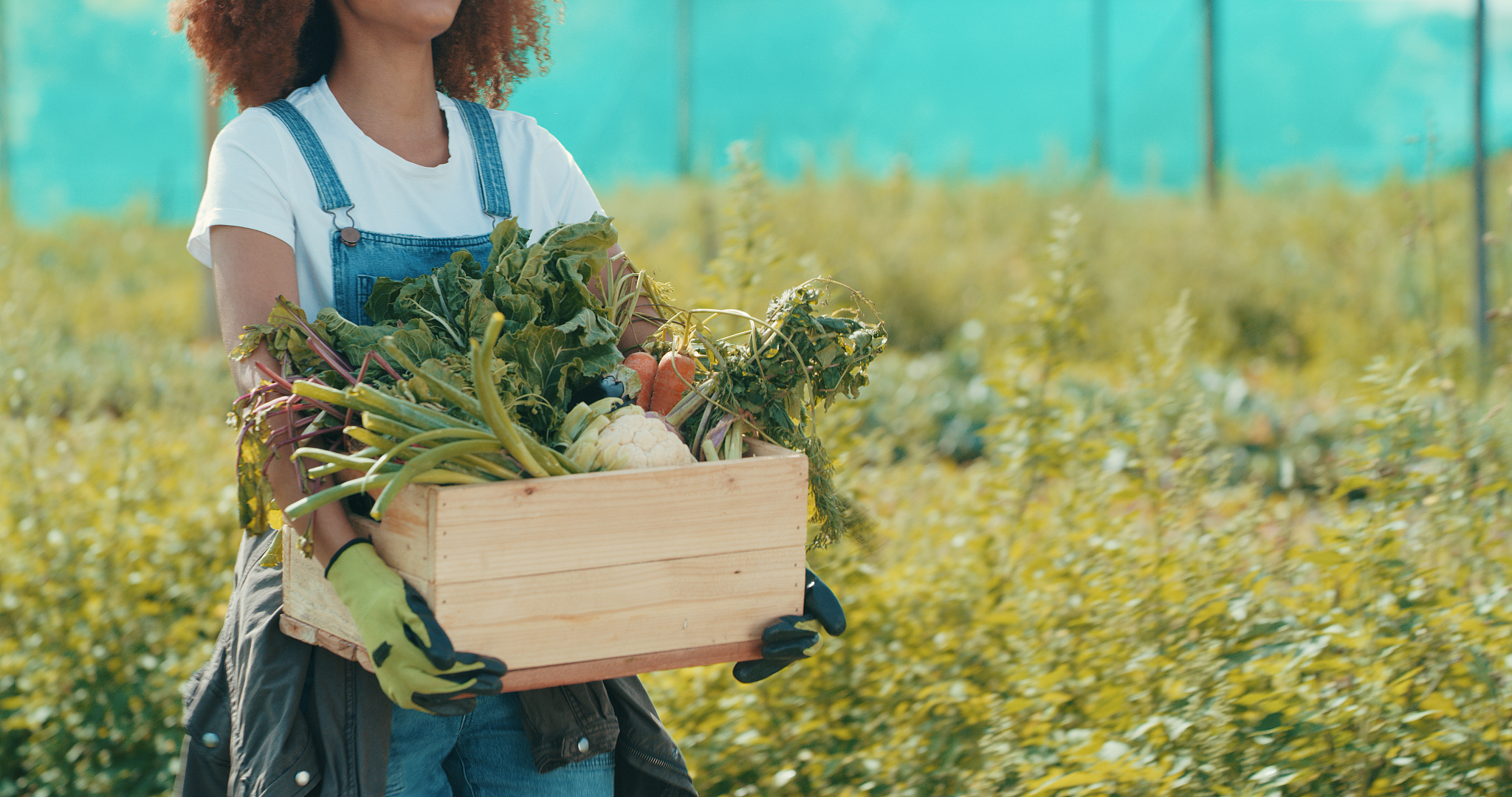 甘肃省农垦中等专业学校2023年专业设置：农业为主，拓展现代化产业
