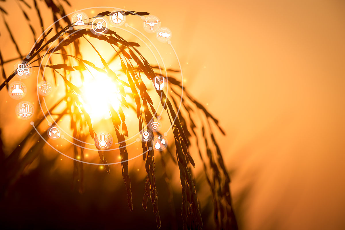 曲靖农业学校电子商务专业好就业吗