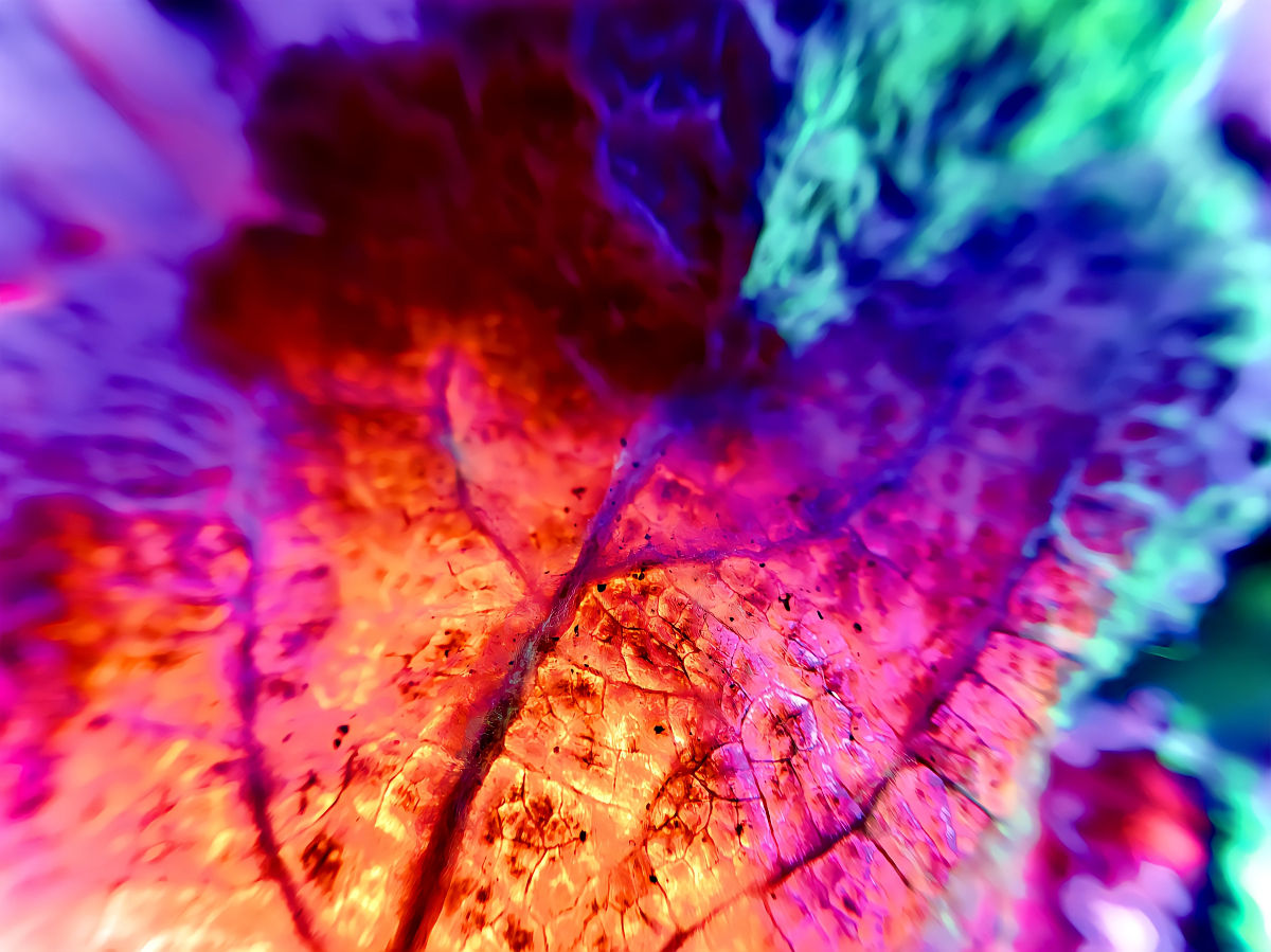 申论 公文调查报告格式。带例子。