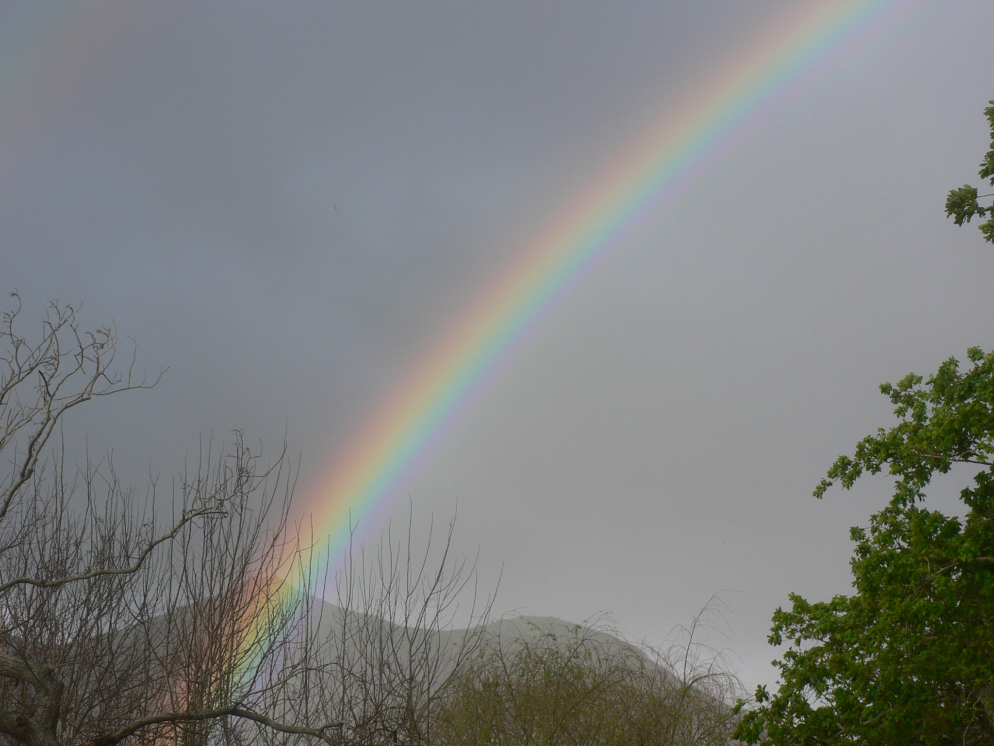 彩虹名字寓意大全：美丽、和平、希望、连接、幸福...