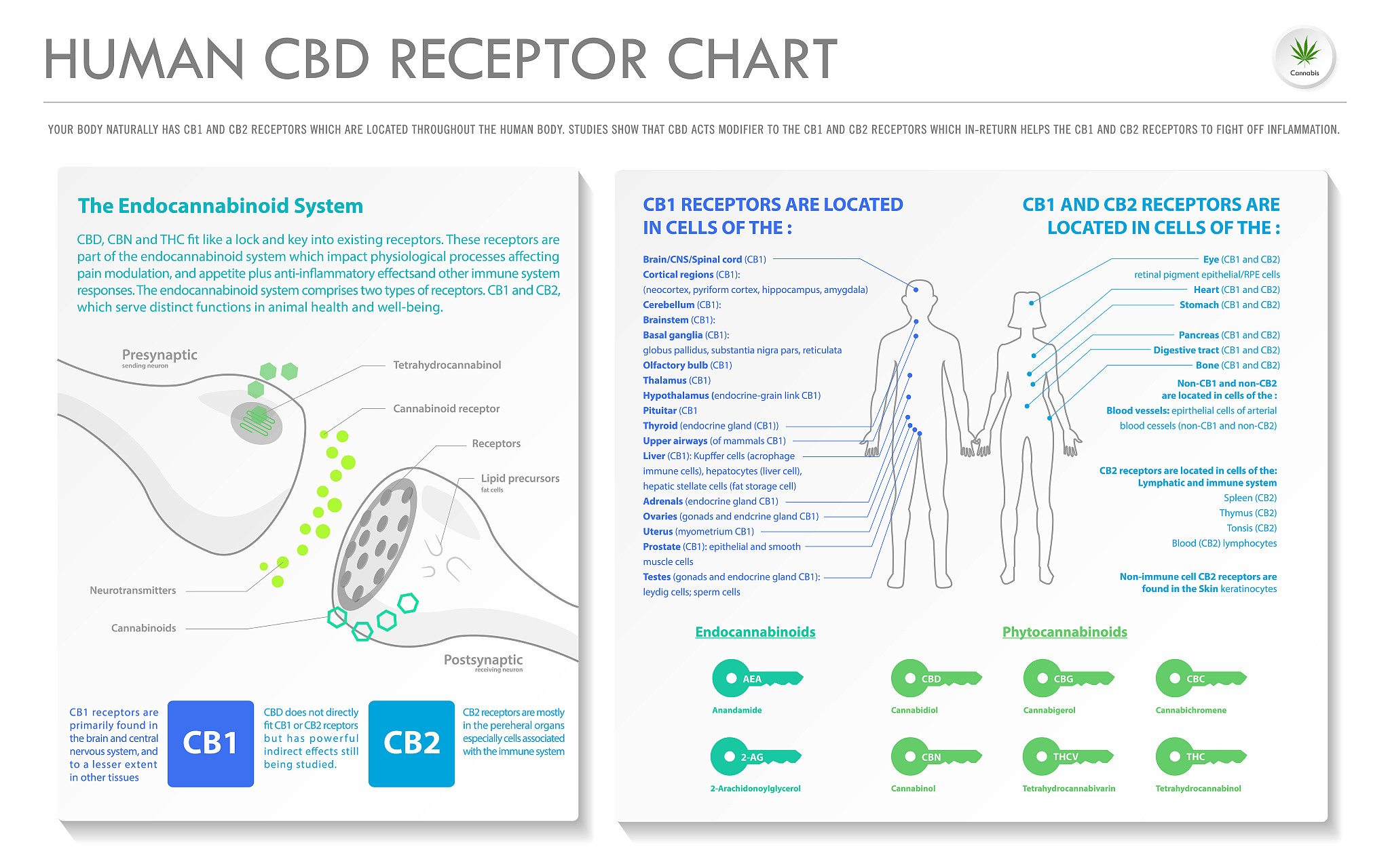 ChatGPT has the potential to significantly impact the clinical and translational medicine fields by providing access to up‐to‐date information improving patient engagement and reducing workloads for h