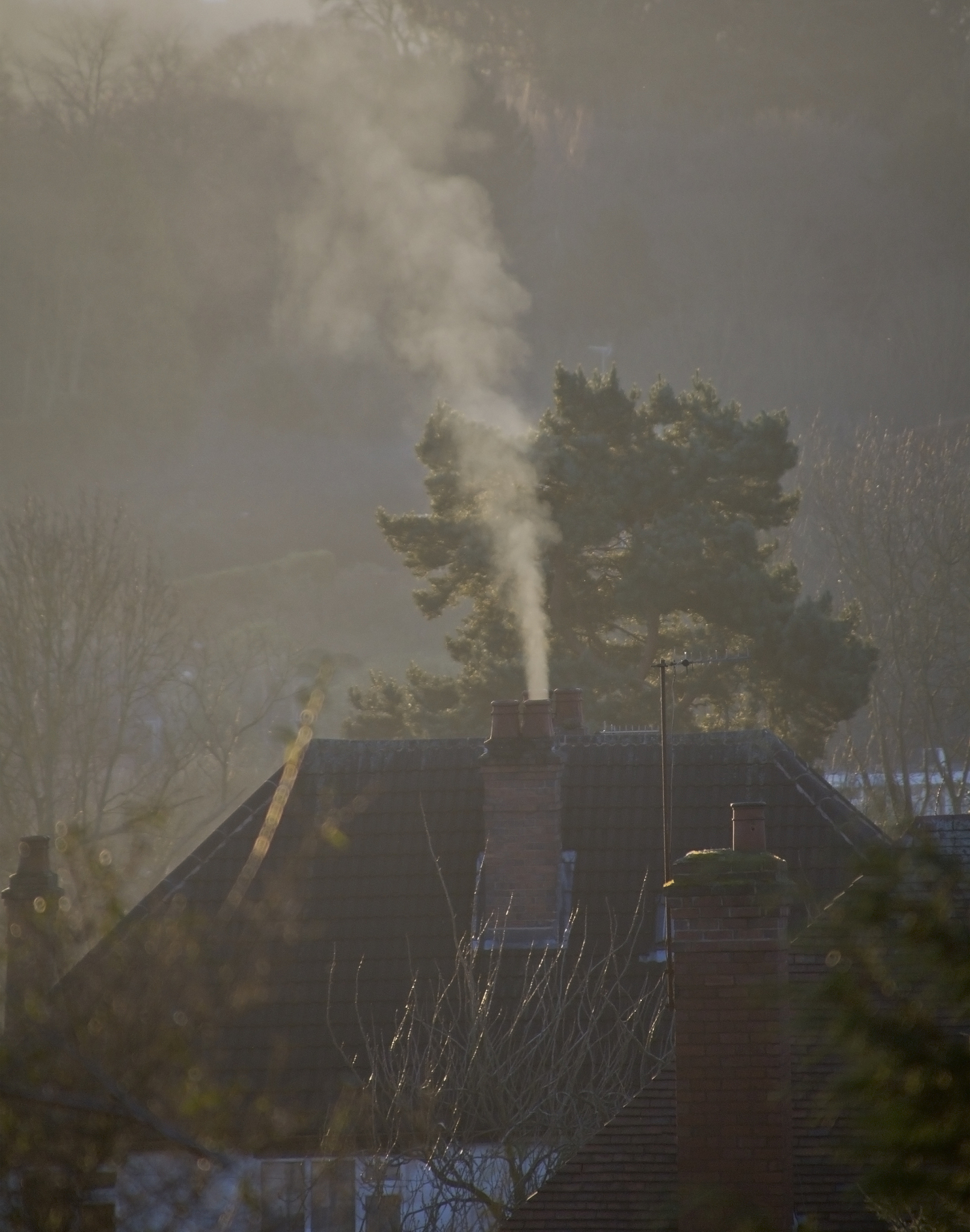 翻译Keywords air pollution; artwork; atmospheric science; environmental reconstruction