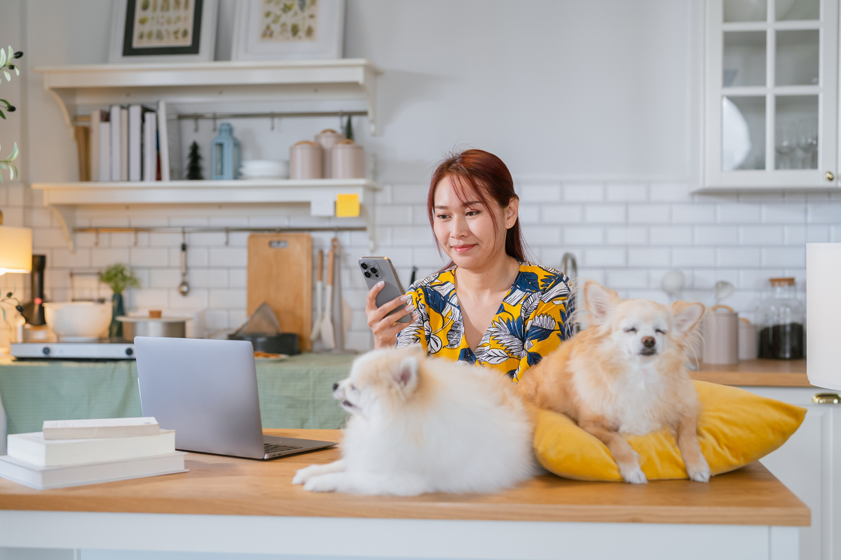 女生带宠物上班，是潮流还是困扰？