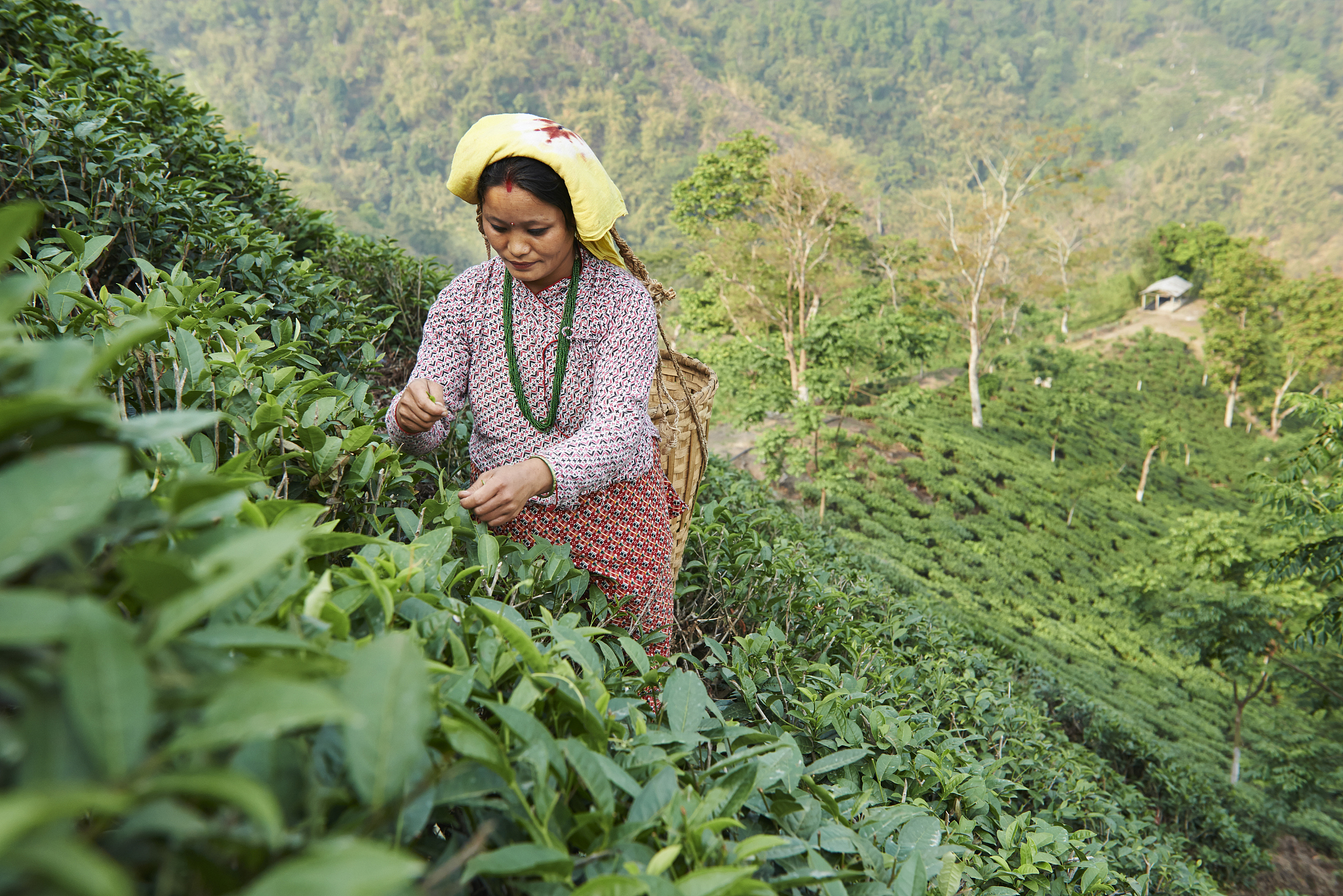 贵州女生中专学什么好？2023年热门专业推荐