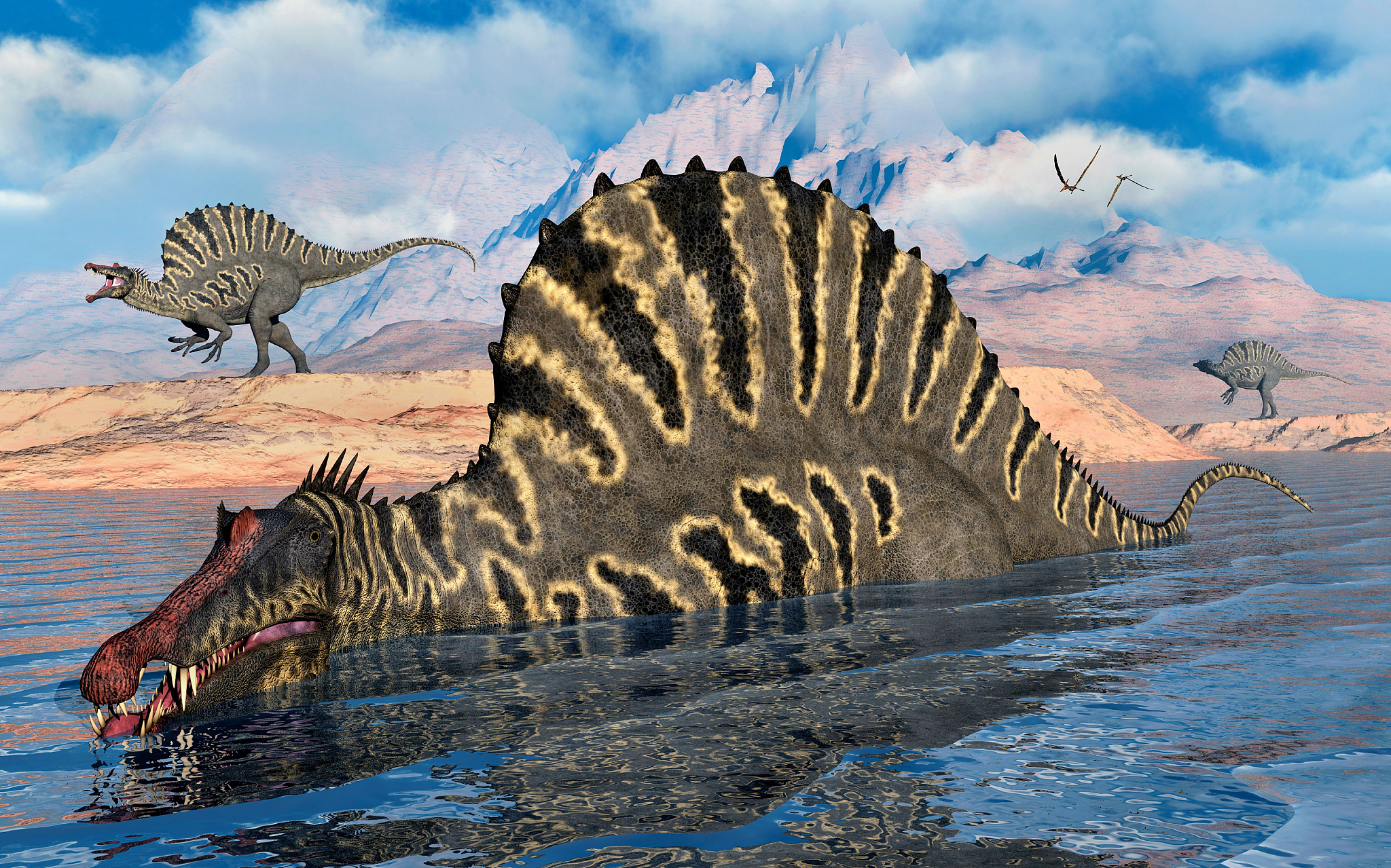 carniverous spinosaurus dinosaur, hunting for fish.