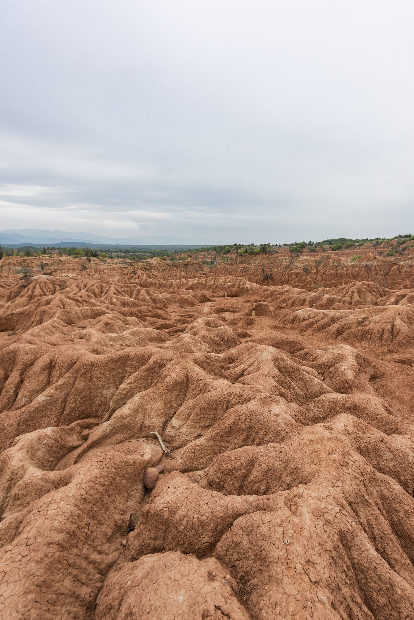 tatacoa desert in huila colombia