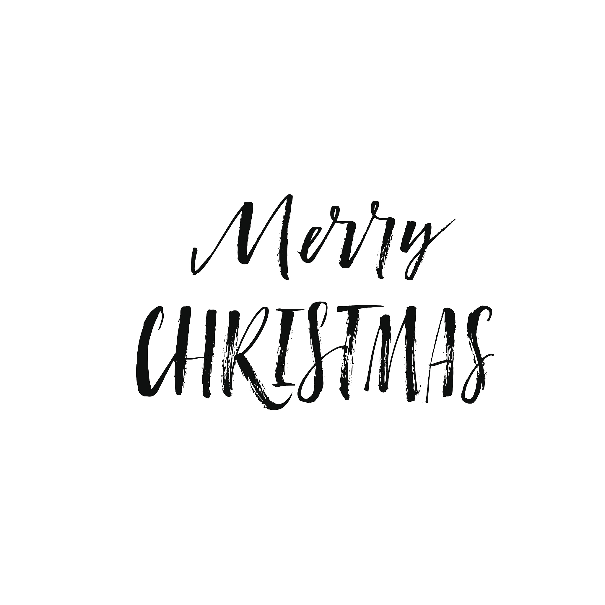 merry christmas postcard.