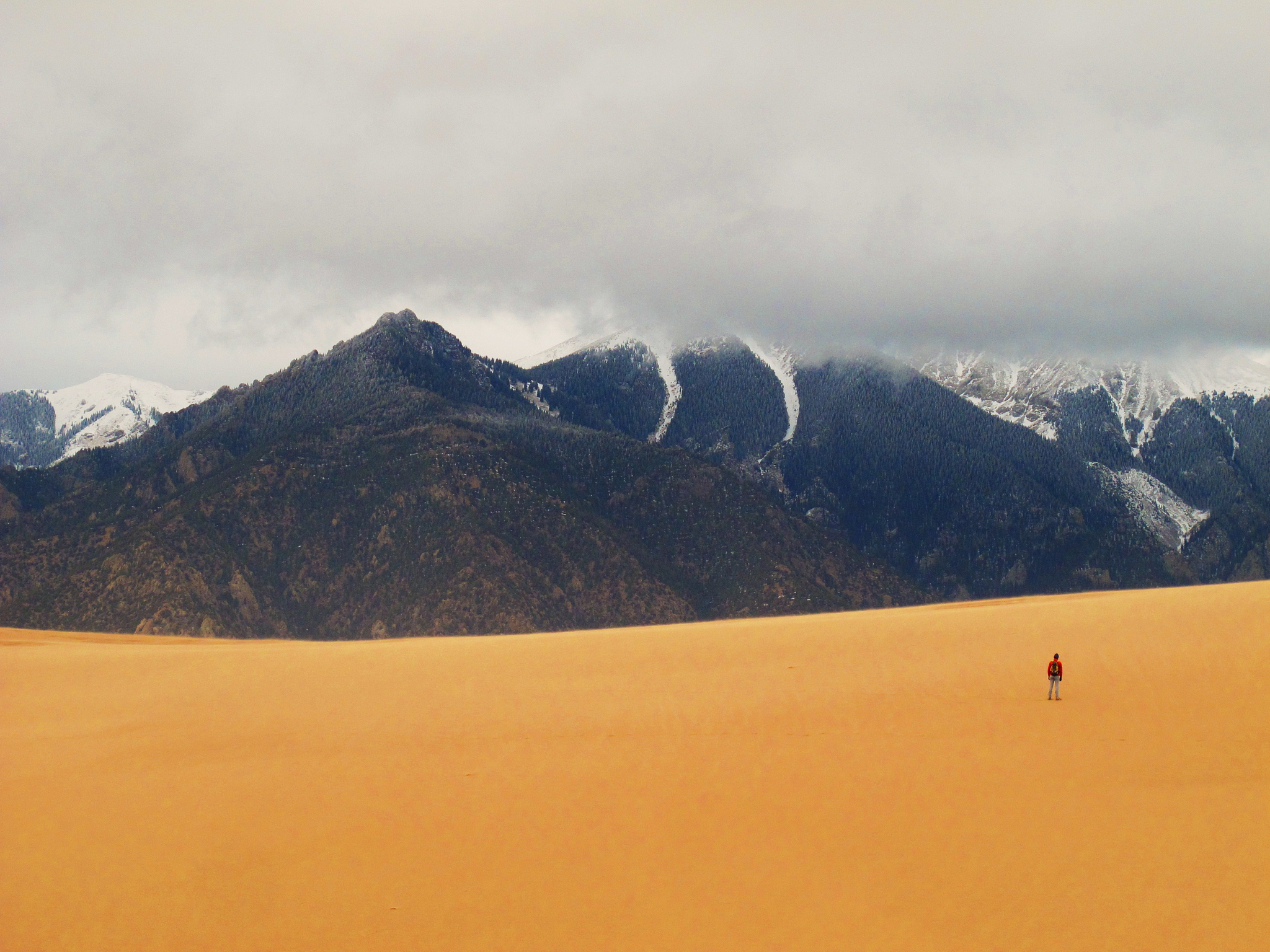 女孩总说顺其自然其实都是别无选择怎么回复