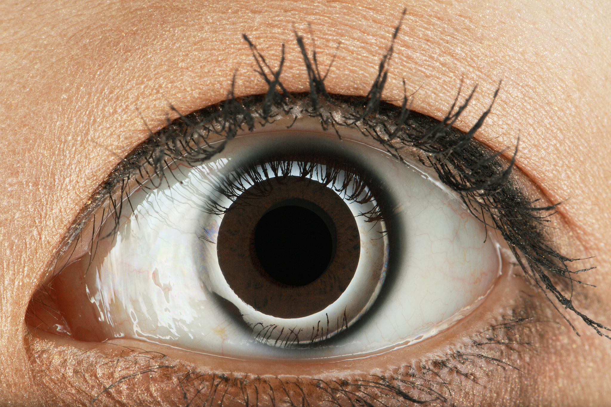 a young woman's eye