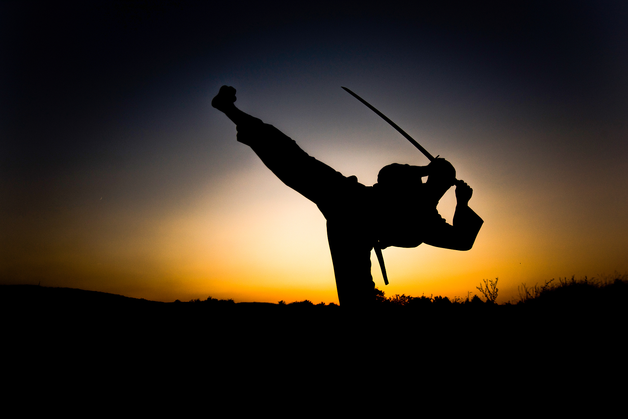 martial artist performing a high kick and holding katana in natu