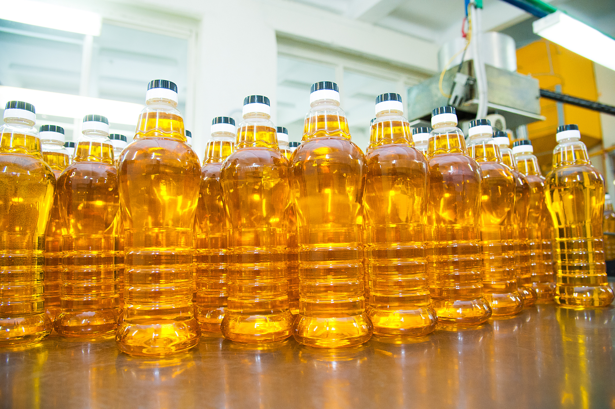 Vegetable Oil Refining Capacity: Installed Tons | Industry Data