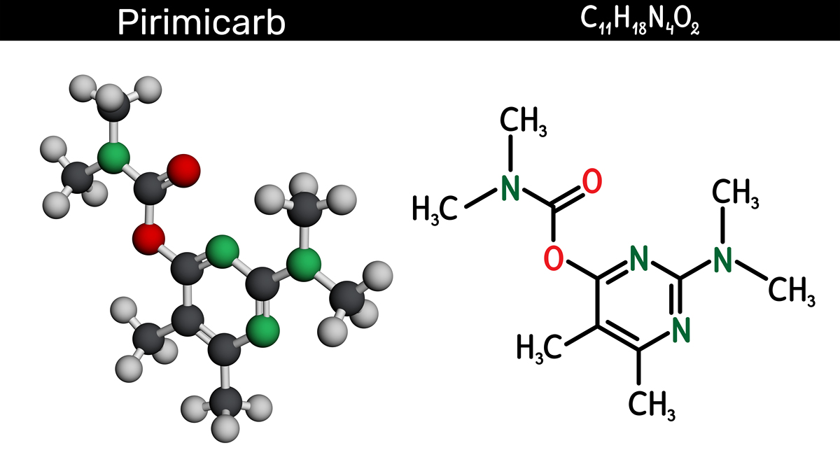 帮我润色以下段落使其符合科研论文的逻辑：4在一个容量为25 ml的烧杯中分别加入02 g、04 g、06 g的乙基纤维素样品并加入10 ml乙醇溶液。在40℃的水浴中加热搅拌直至完全溶解。此时得到了三种不同浓度分别为002 gml、004 gml、006 gml的乙基纤维素溶液。随后将这些溶液均匀地倒在玻璃板上并使用1000 μm的刮膜刀从上至下刮平。将样品风干半小时即可得到三组乙基纤维素-乙酸甲