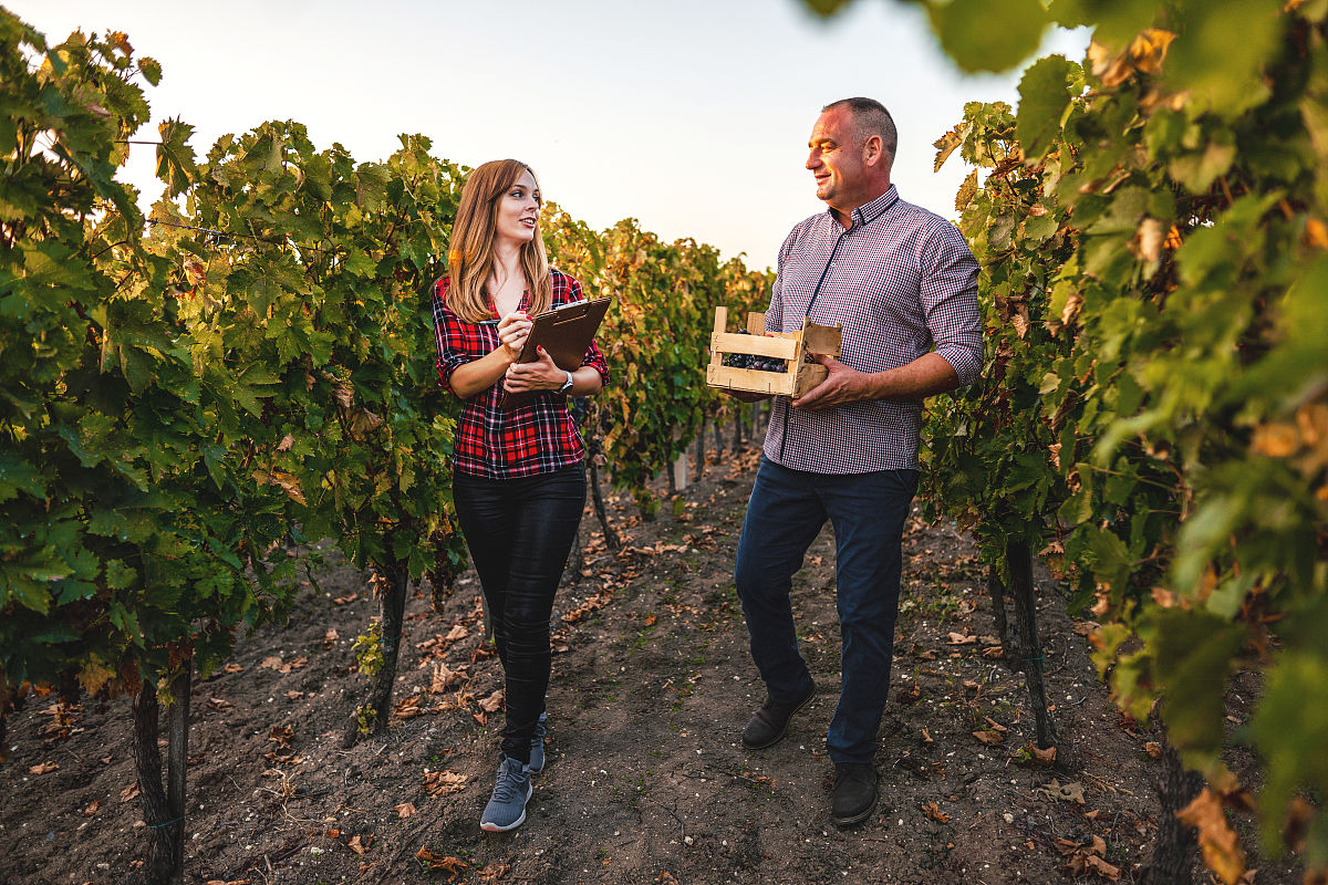 中级工程师评审标准：技术、经验、团队合作、创新等维度评估