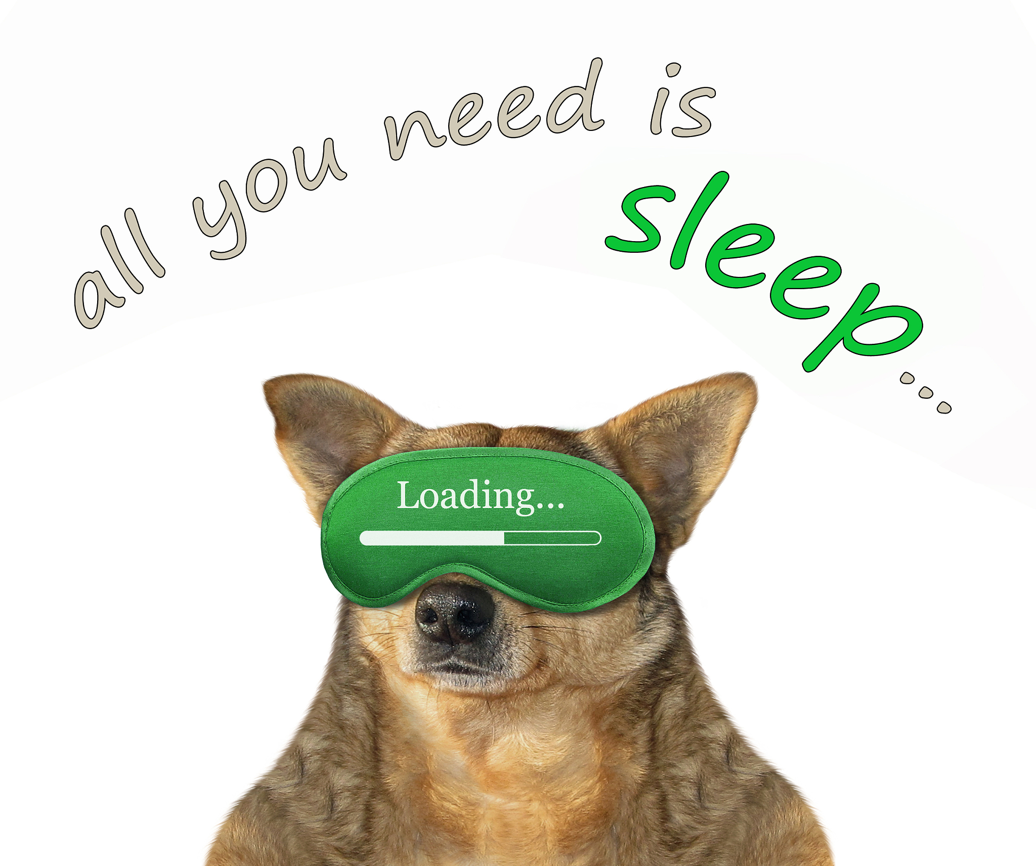 dog in a sleep mask 2