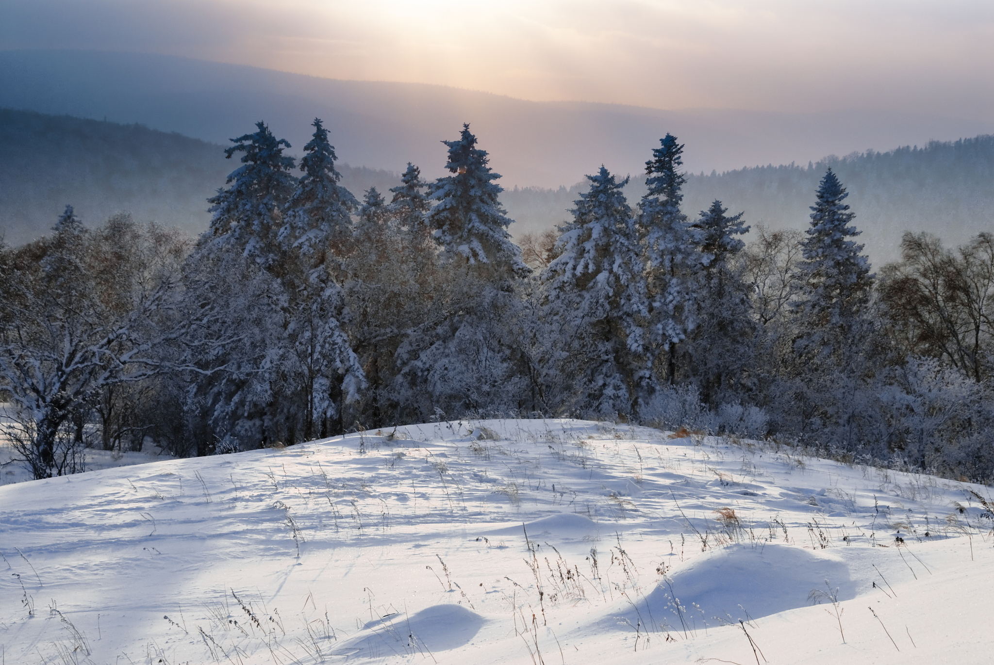 黑龙江旅游职业技术学院汽车营销与服务专业优势怎么样发展前景好不好呢