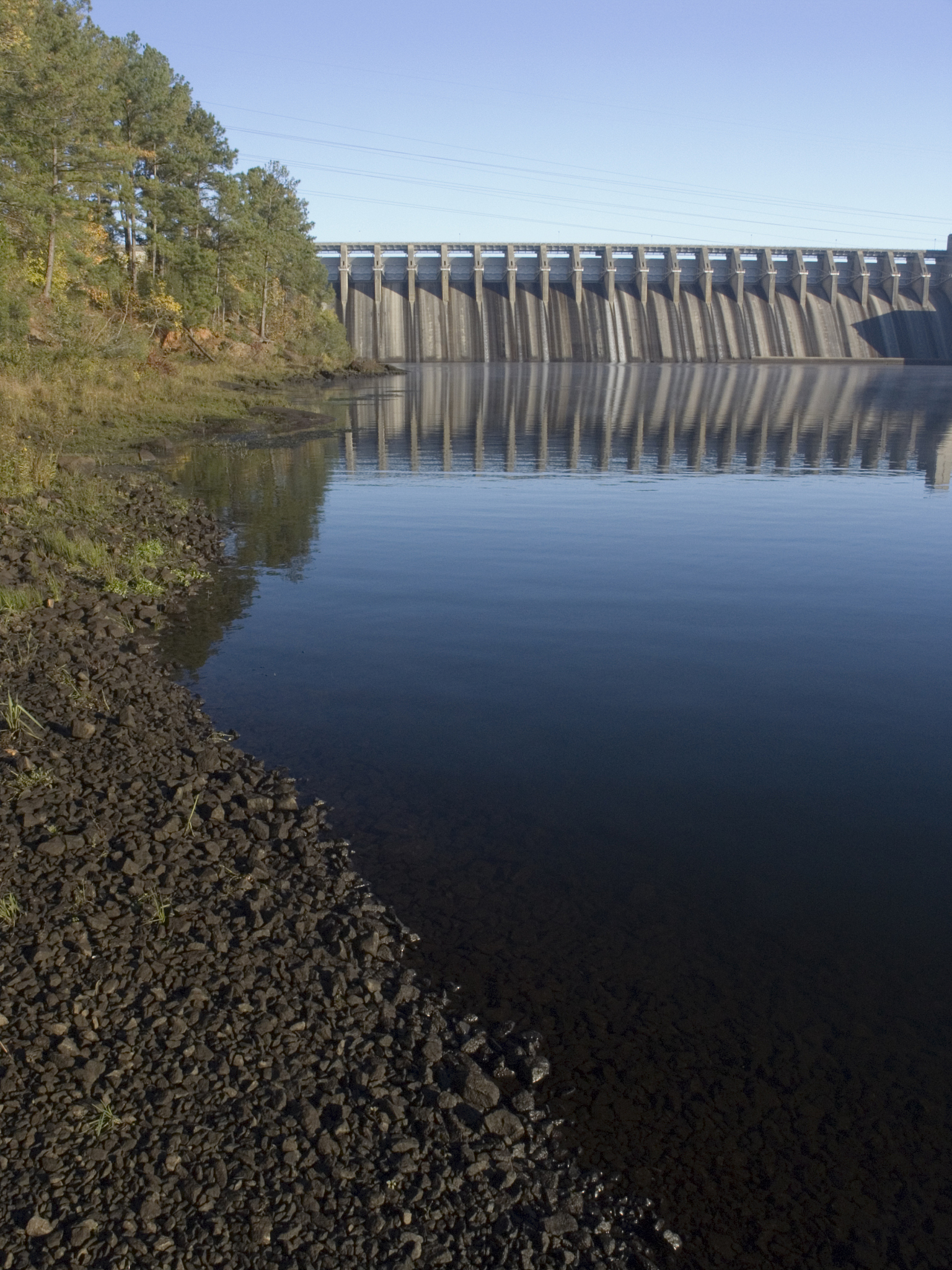 水库论坛：分享、讨论和学习