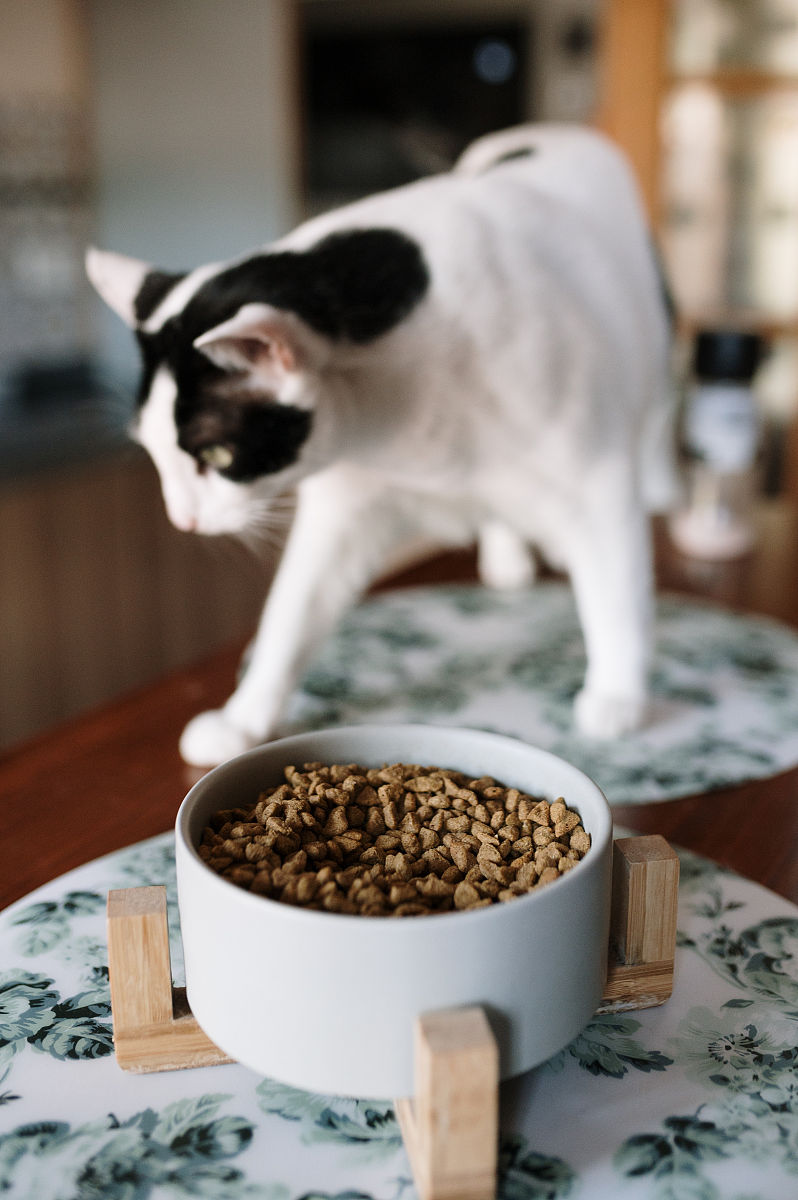 编辑一段文字这段文字有关猫粮的退货理由。理由就是猫不爱吃。商家说不爱吃包退货。