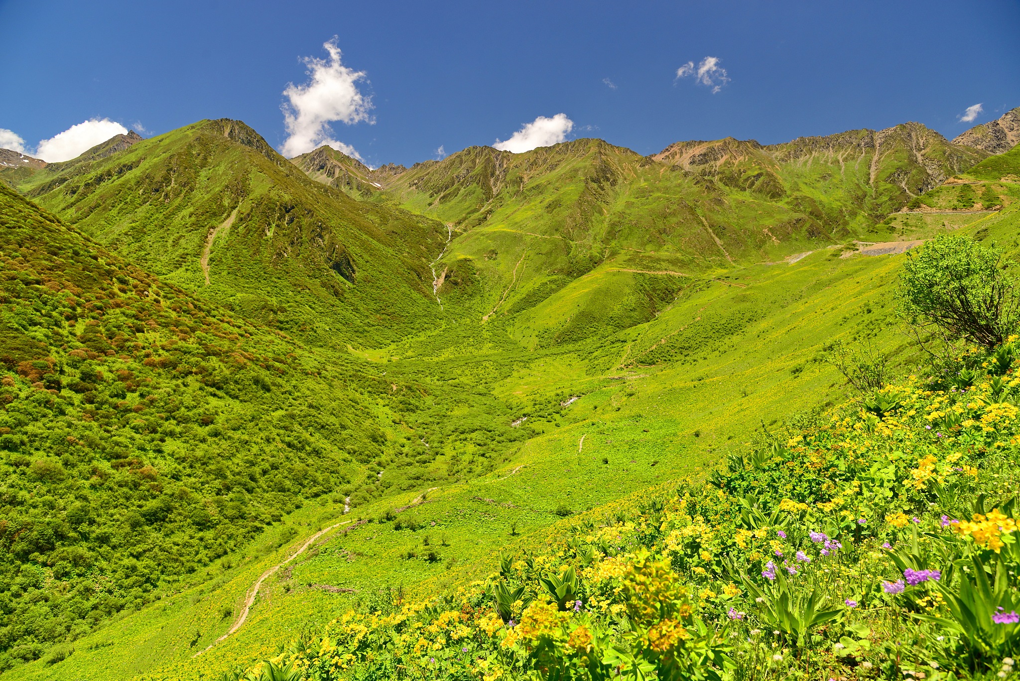 成都哪家职业学校就业好