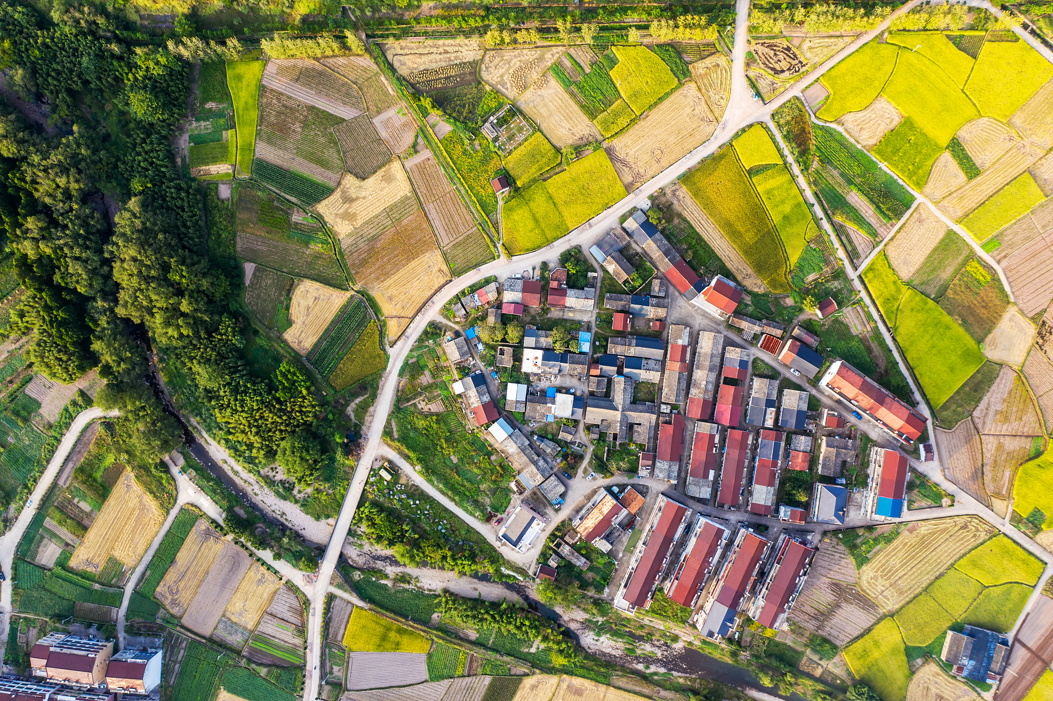 请你围绕八八战略中结合浙江的城乡协调发展优势讲述相关故事