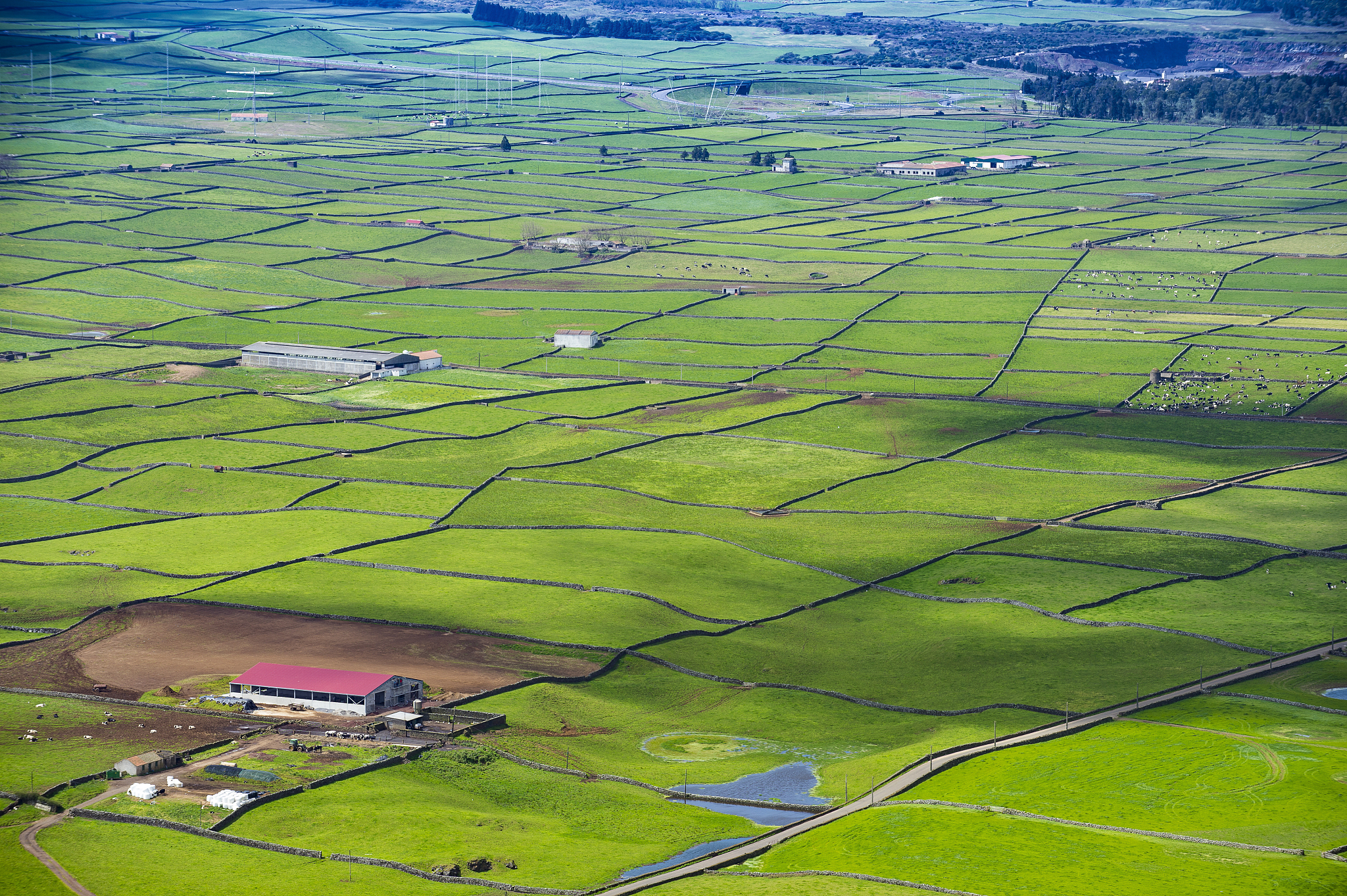 portugal, azores, island of terceira, miradouro da serra do cume
