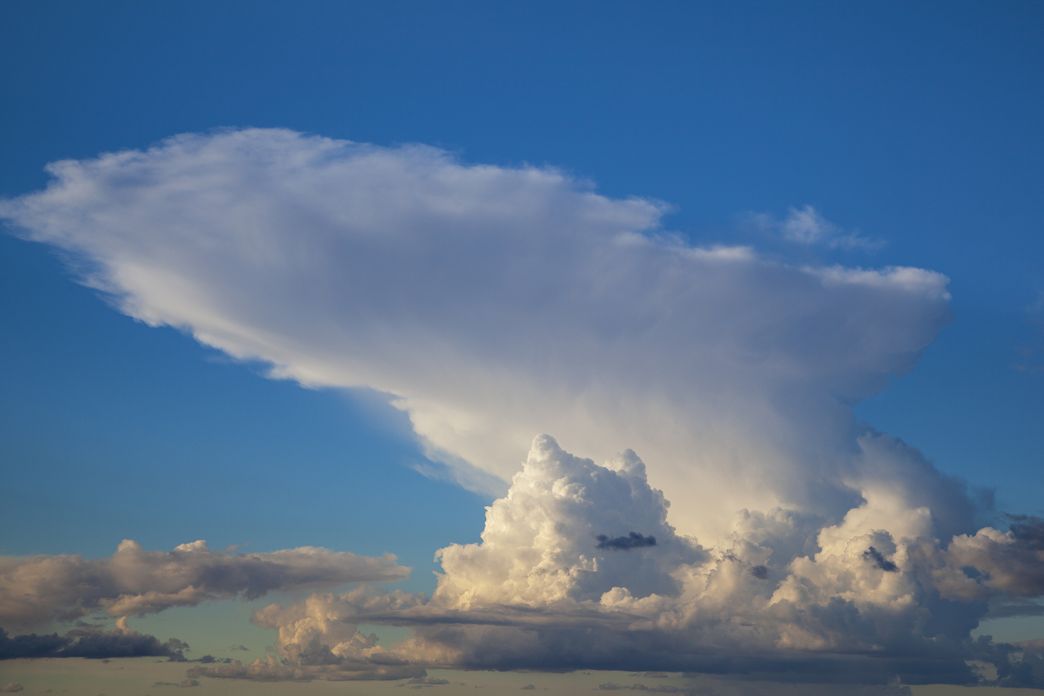 夏天的云有什么特点