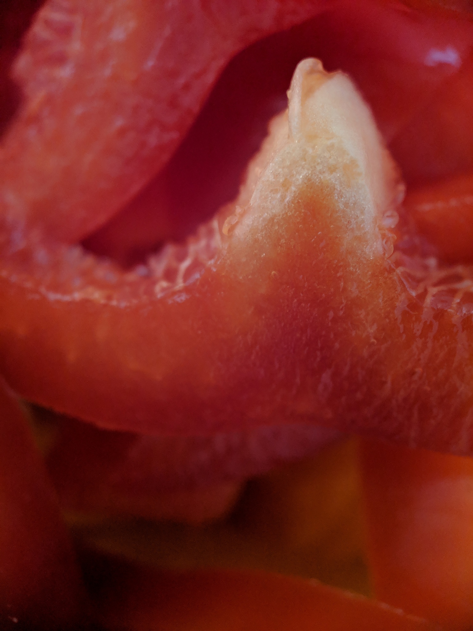 正常舌象表现：淡红色、光滑潮湿