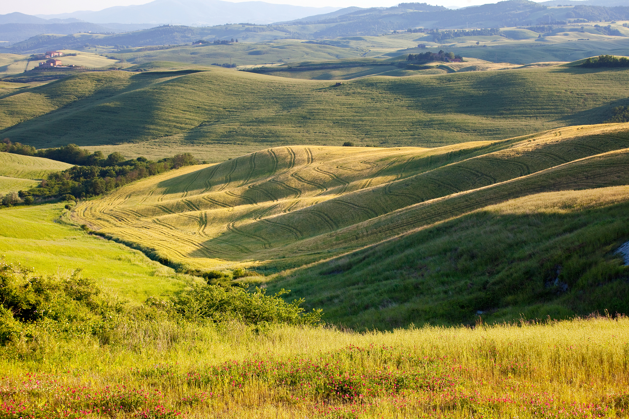 tuscany landscape