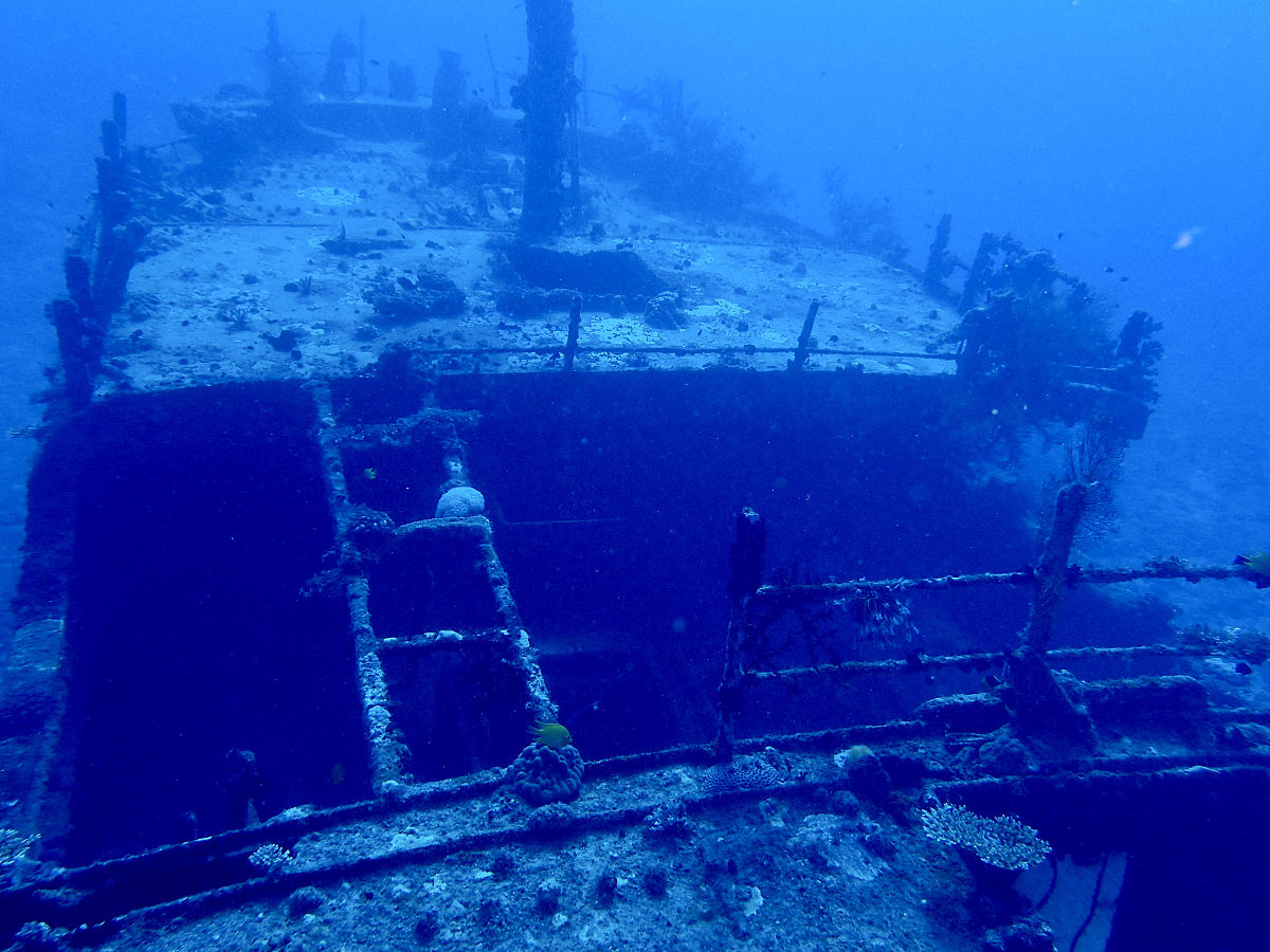 核污水排海后的救世主：我的故事