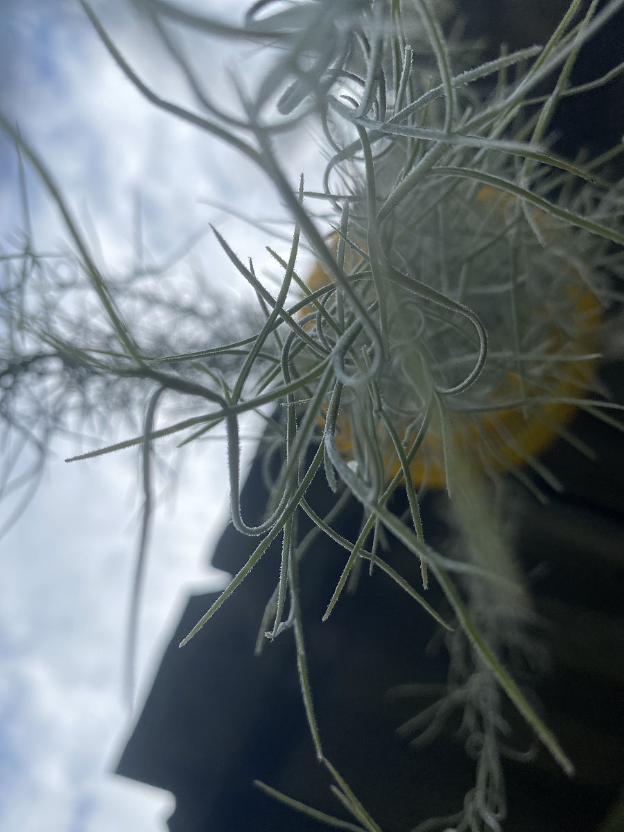 给小孩起名字名字带土属性与火属性