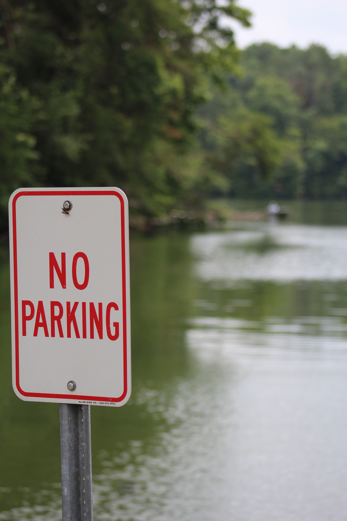 活在当下：用不同语言表达“珍惜现在”