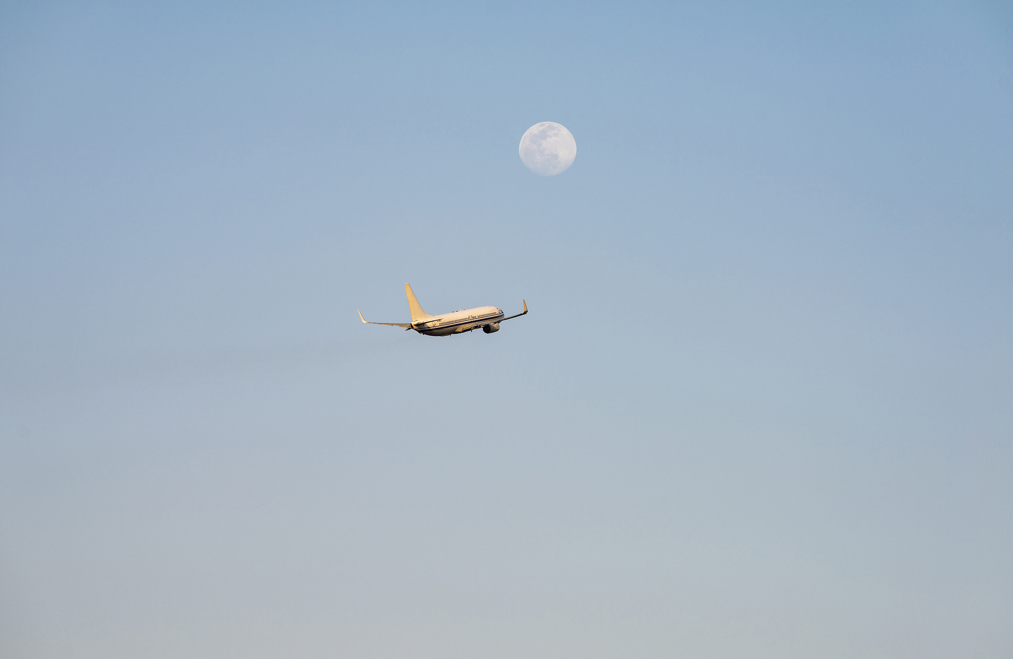 新郑机场投资项目可行性分析：构建专家库与同行数据决策体系