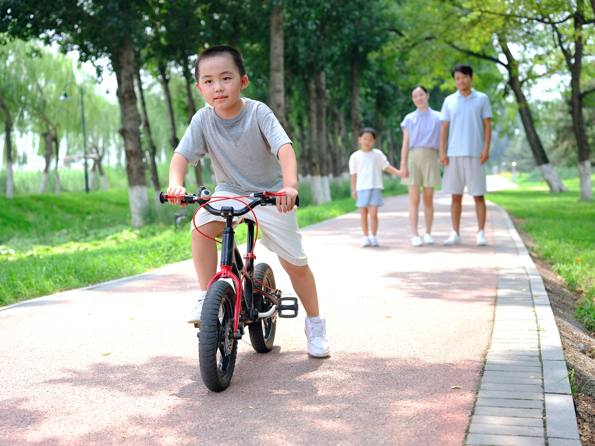 写一篇我第一次骑自行车的文章