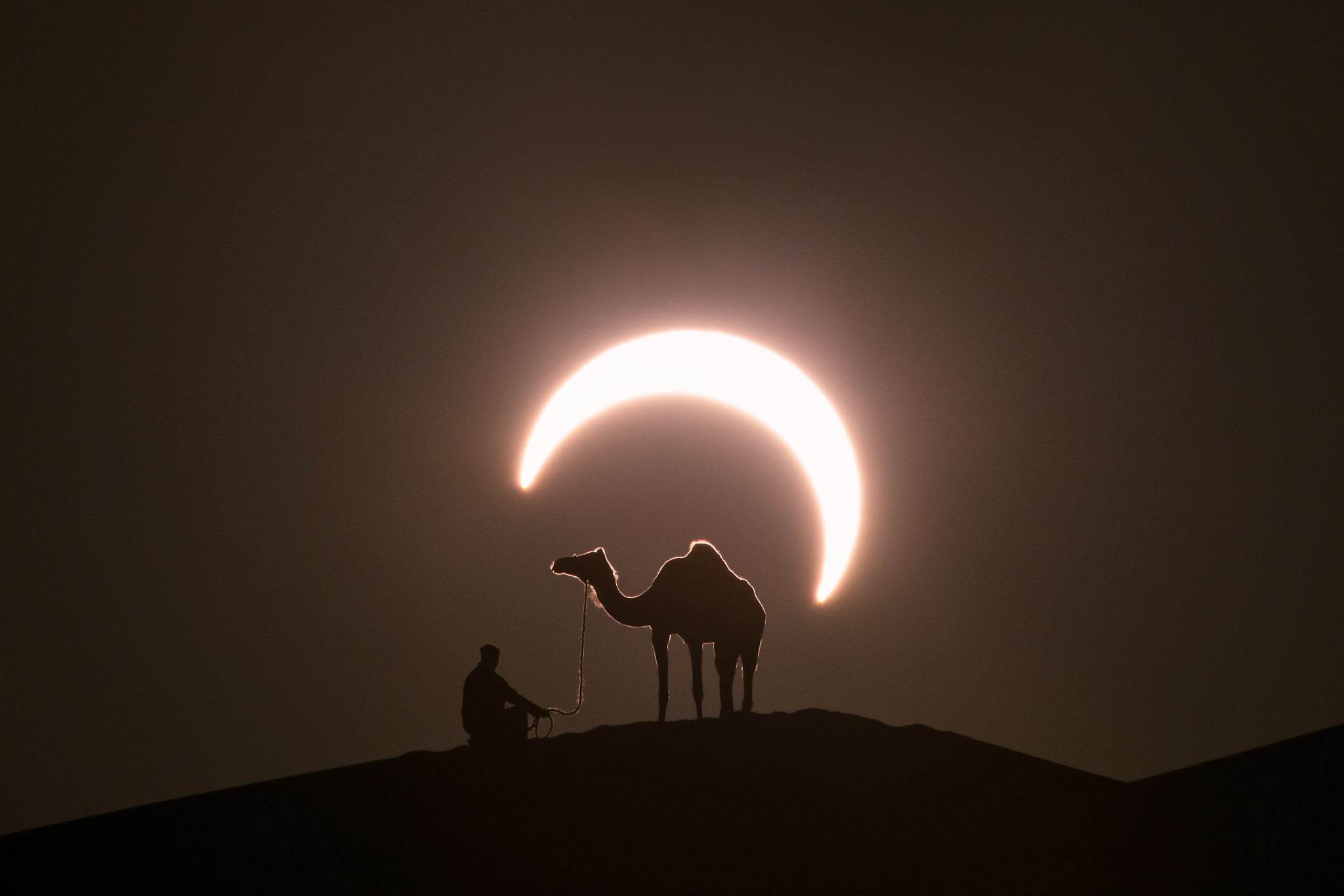 annular solar eclipse with a silhouette of a camel.