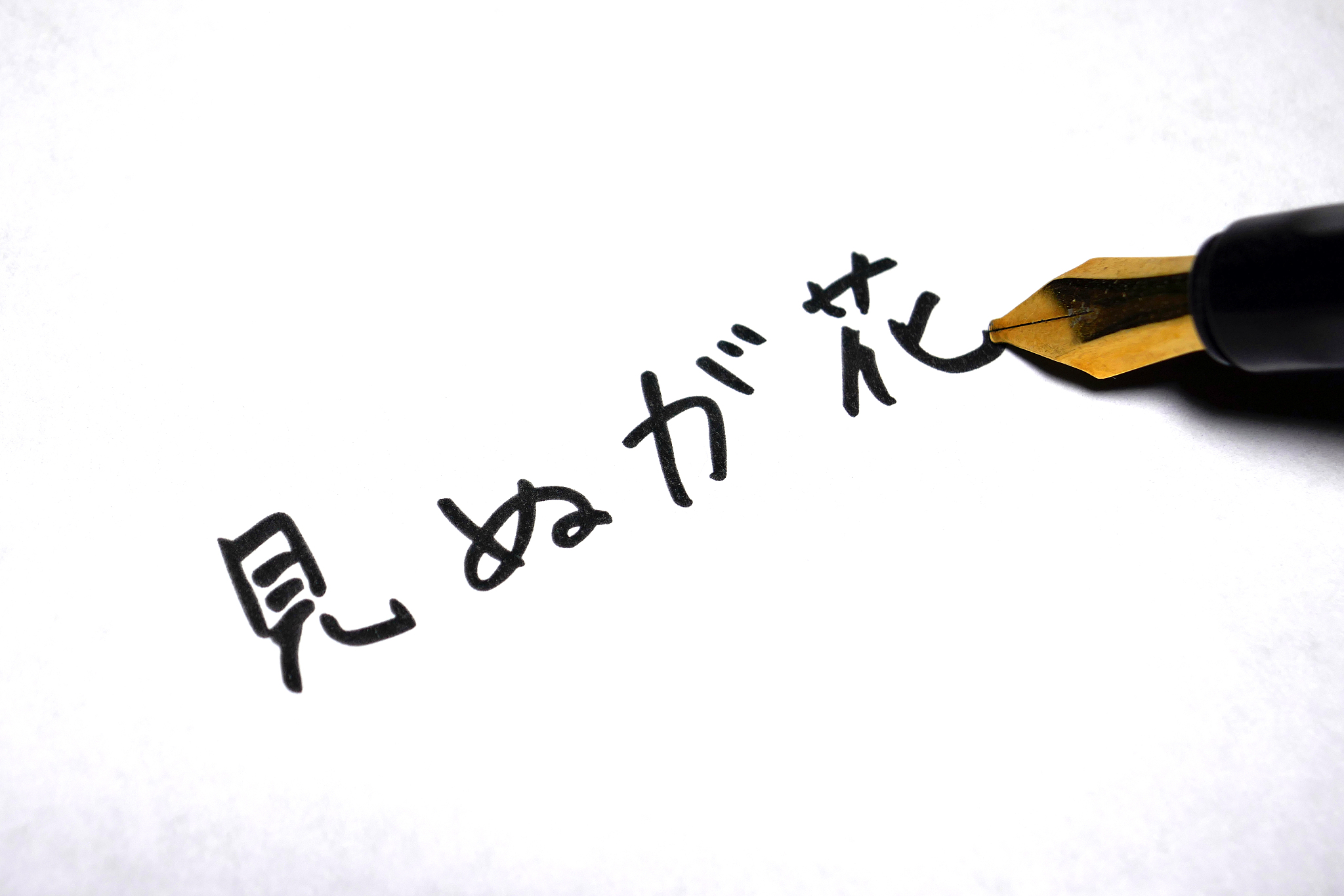 Megumi 的发音和日语中的 '女神' 一样吗？
