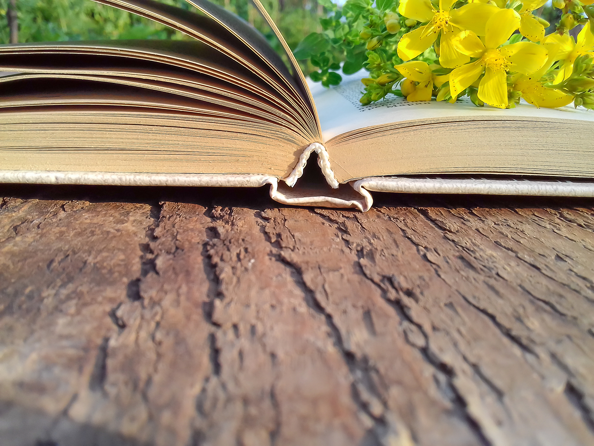 圣经中油的比喻：象征神的恩典和圣灵的恩膏