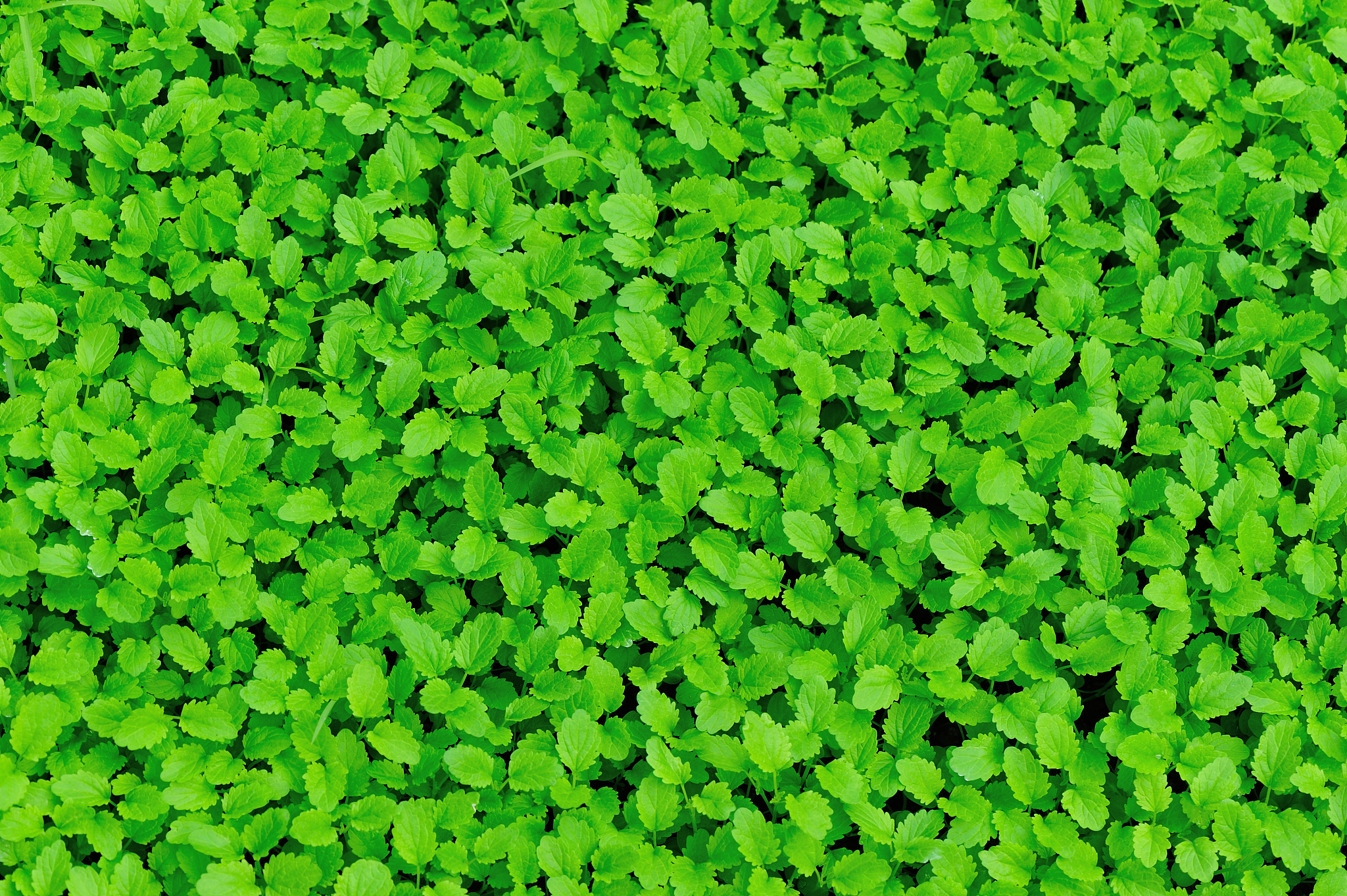 金华职业技术学院园艺技术专业怎么样？教学质量、就业前景分析