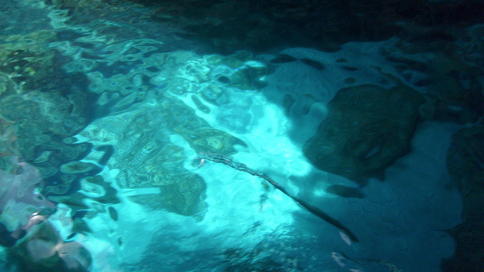 underwater blue turquoise colored sea for background