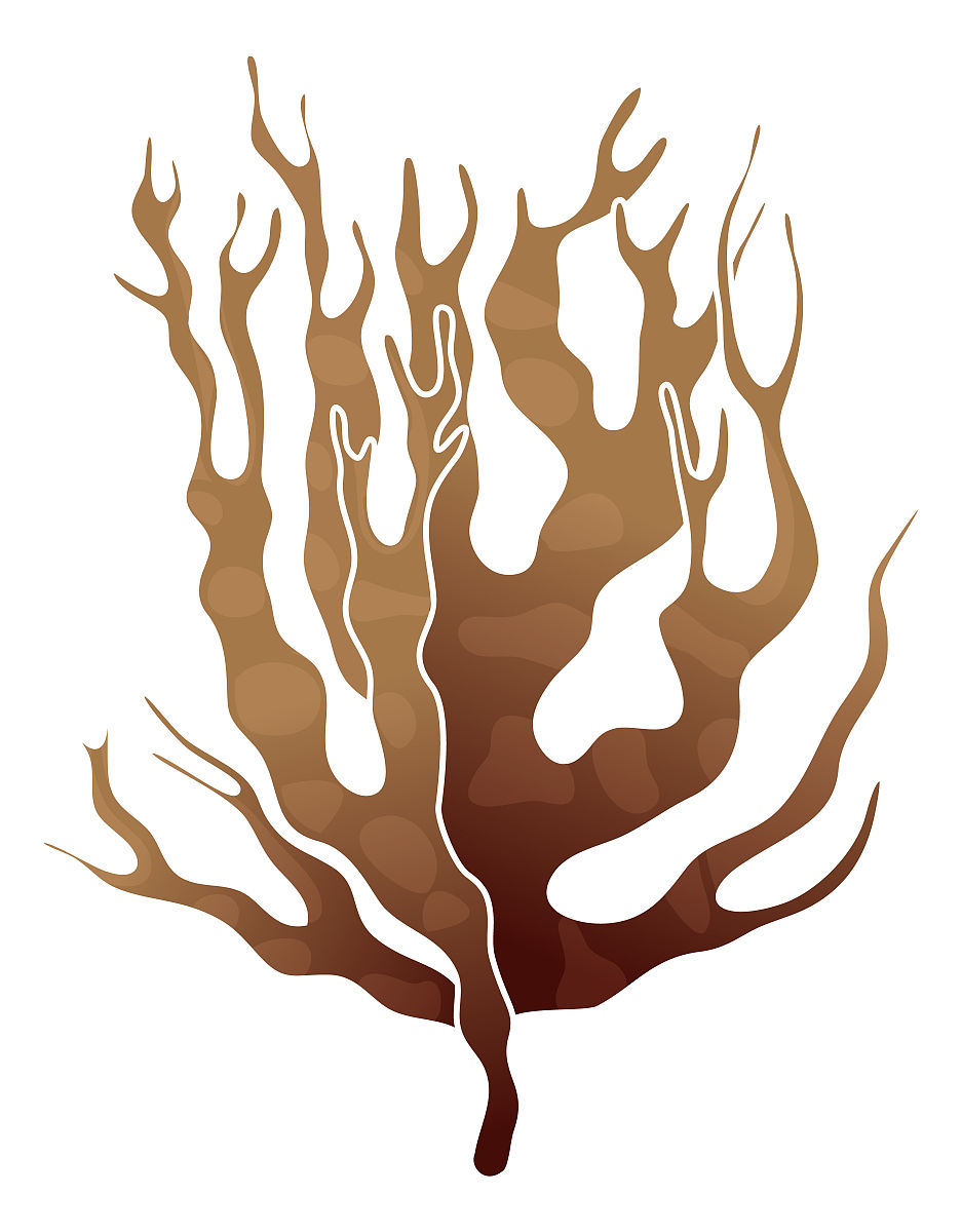 云南省农业学校2019年五年一贯制招生专业计划