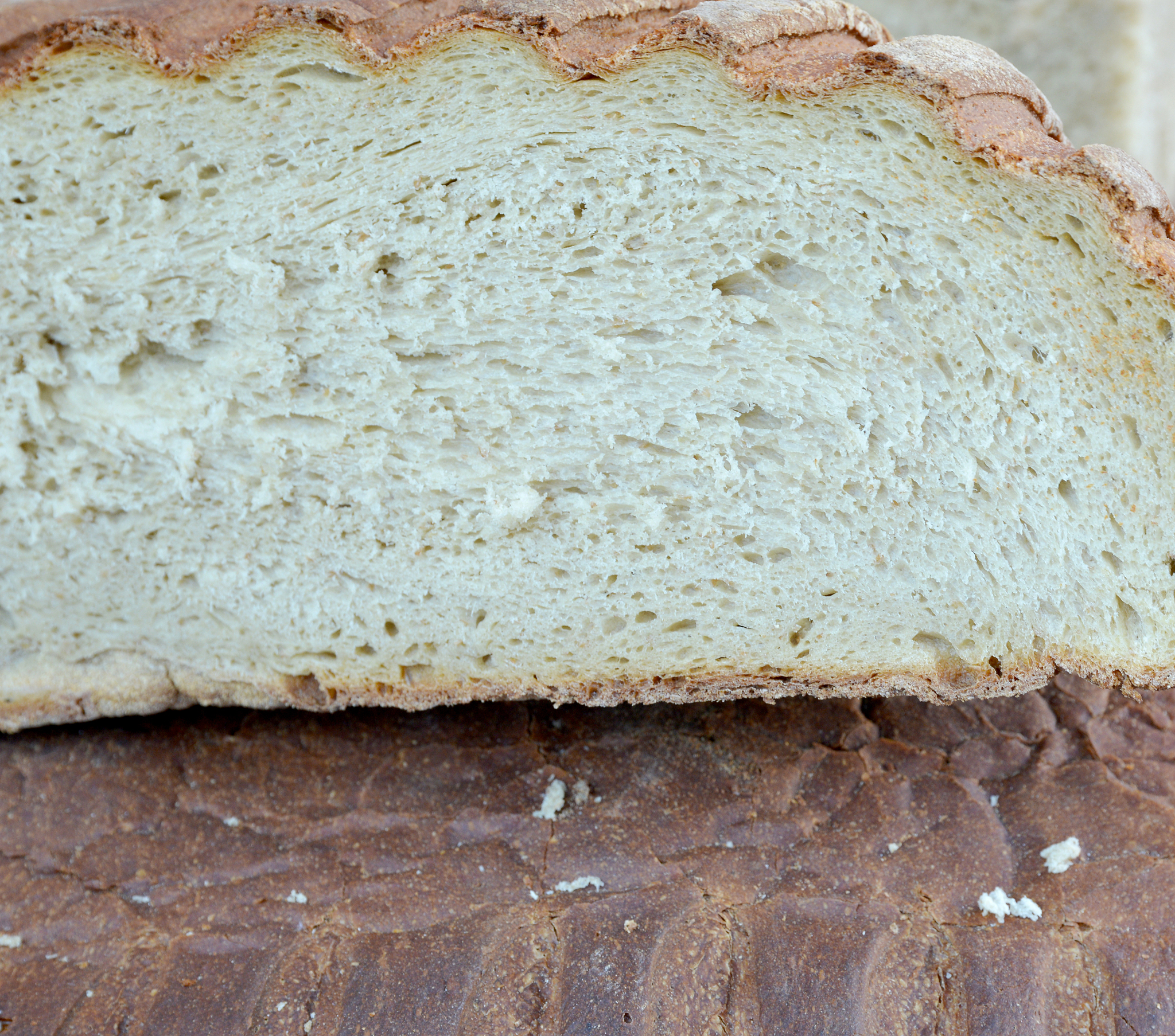 面包水合法为什么不需要揉面