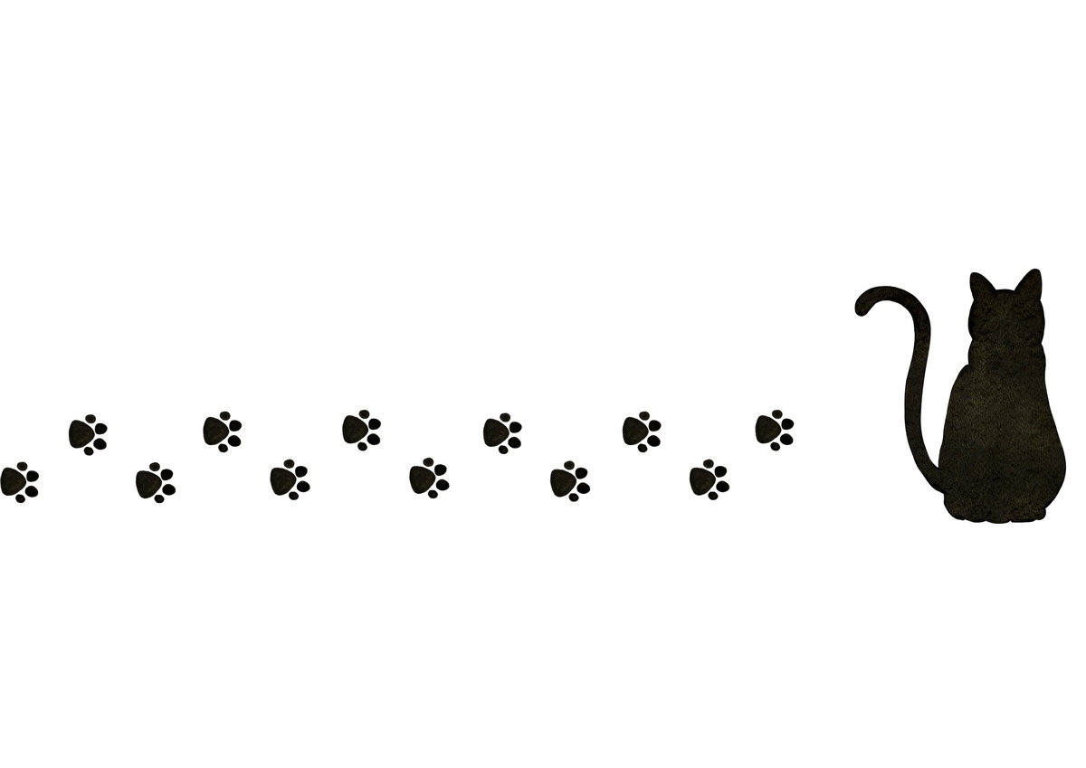 中国矿产企业在印太地区的分布情况是什么？