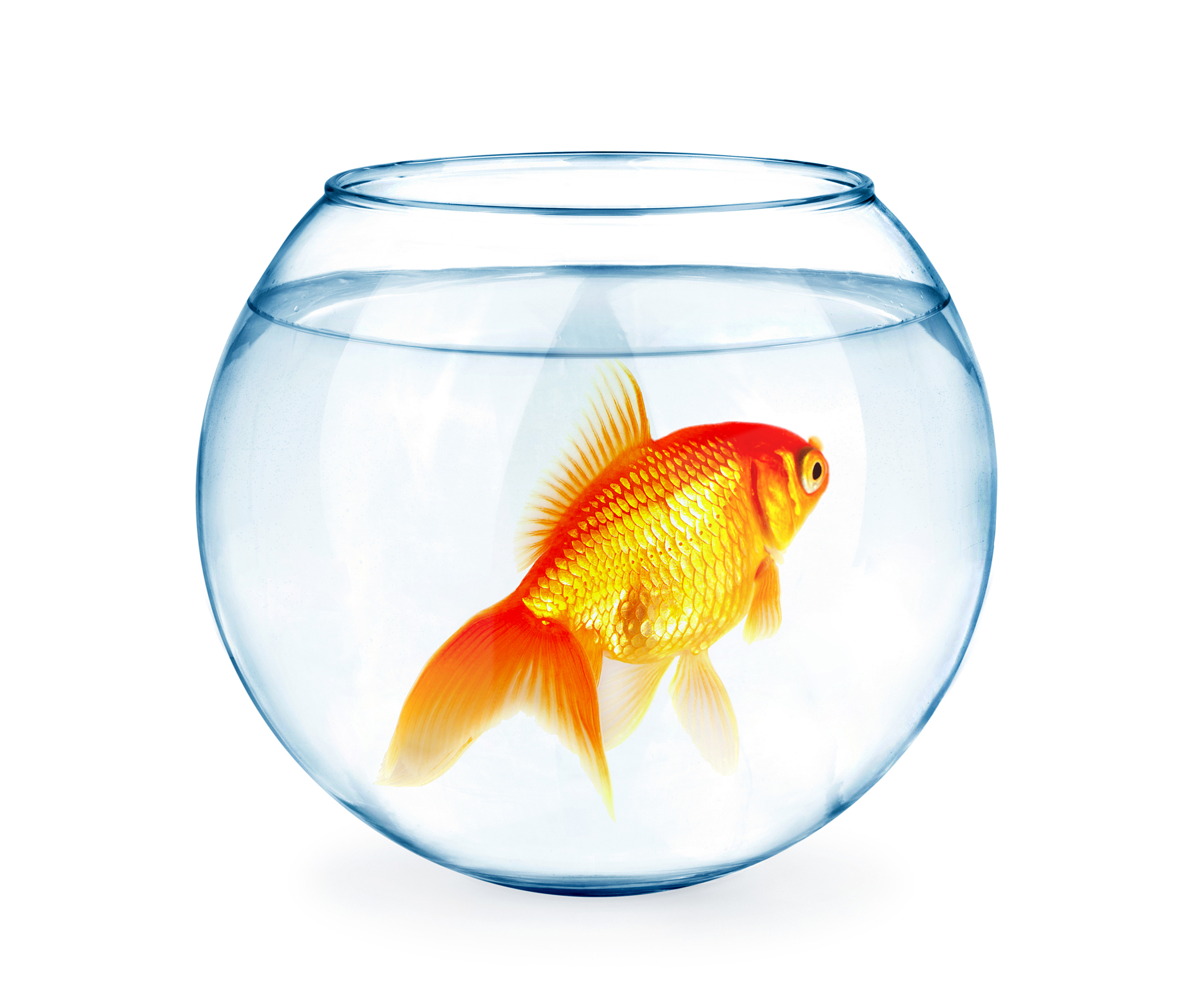 110x41x678mm厚的鱼缸m有多重用210字帮我详细描述