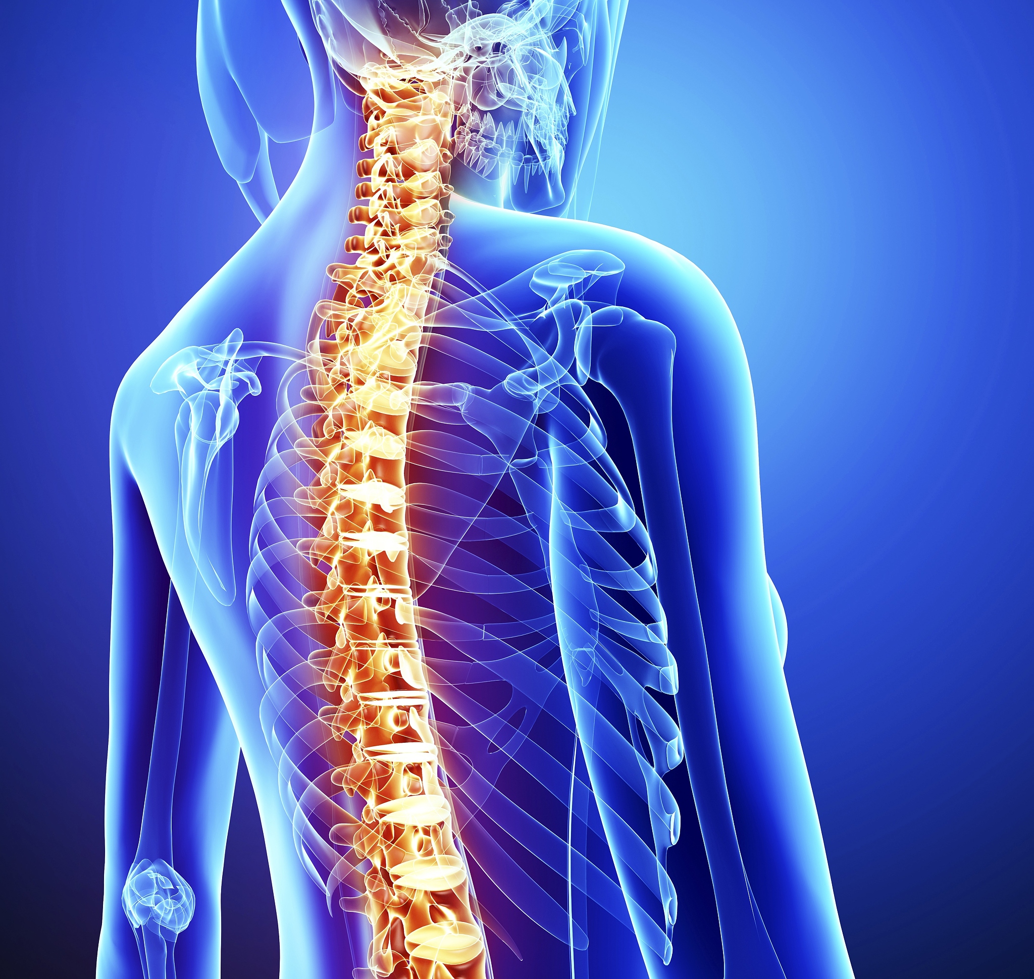 右侧腰上侧阵阵疼痛的原因及应对