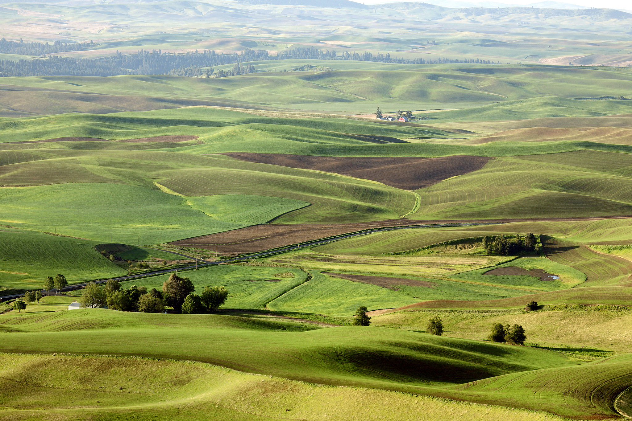 palouse rolling hills