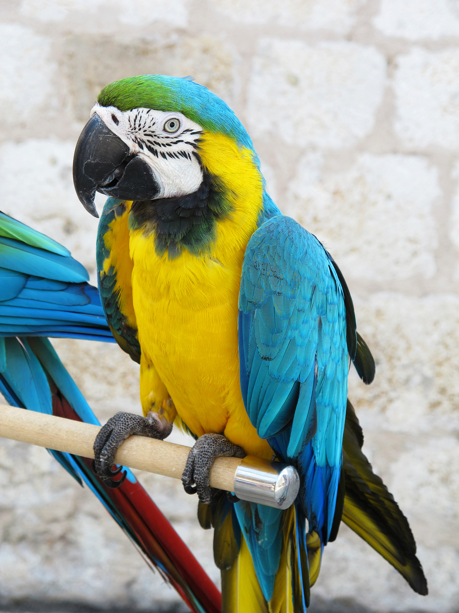 Ara Ara: Meaning and Usage in Anime