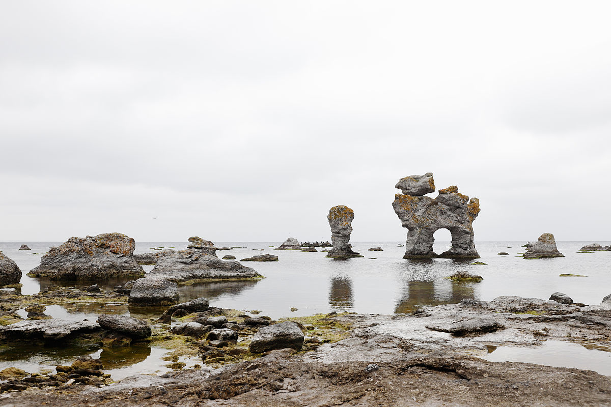 疯牛病发病机制和传播途径详解