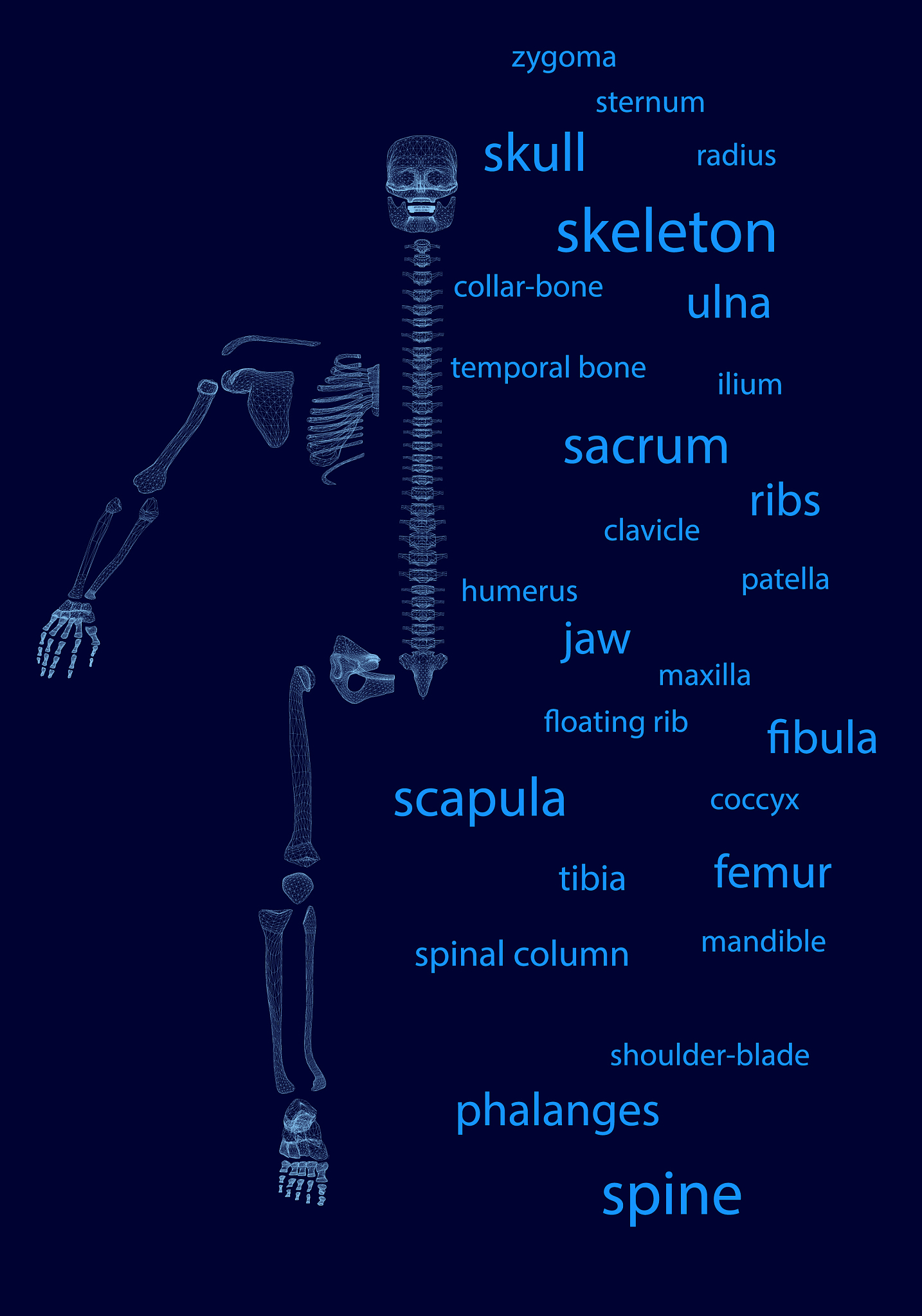 Python 使用 TensorFlow 生成人体骨架数据集 CSV 文件