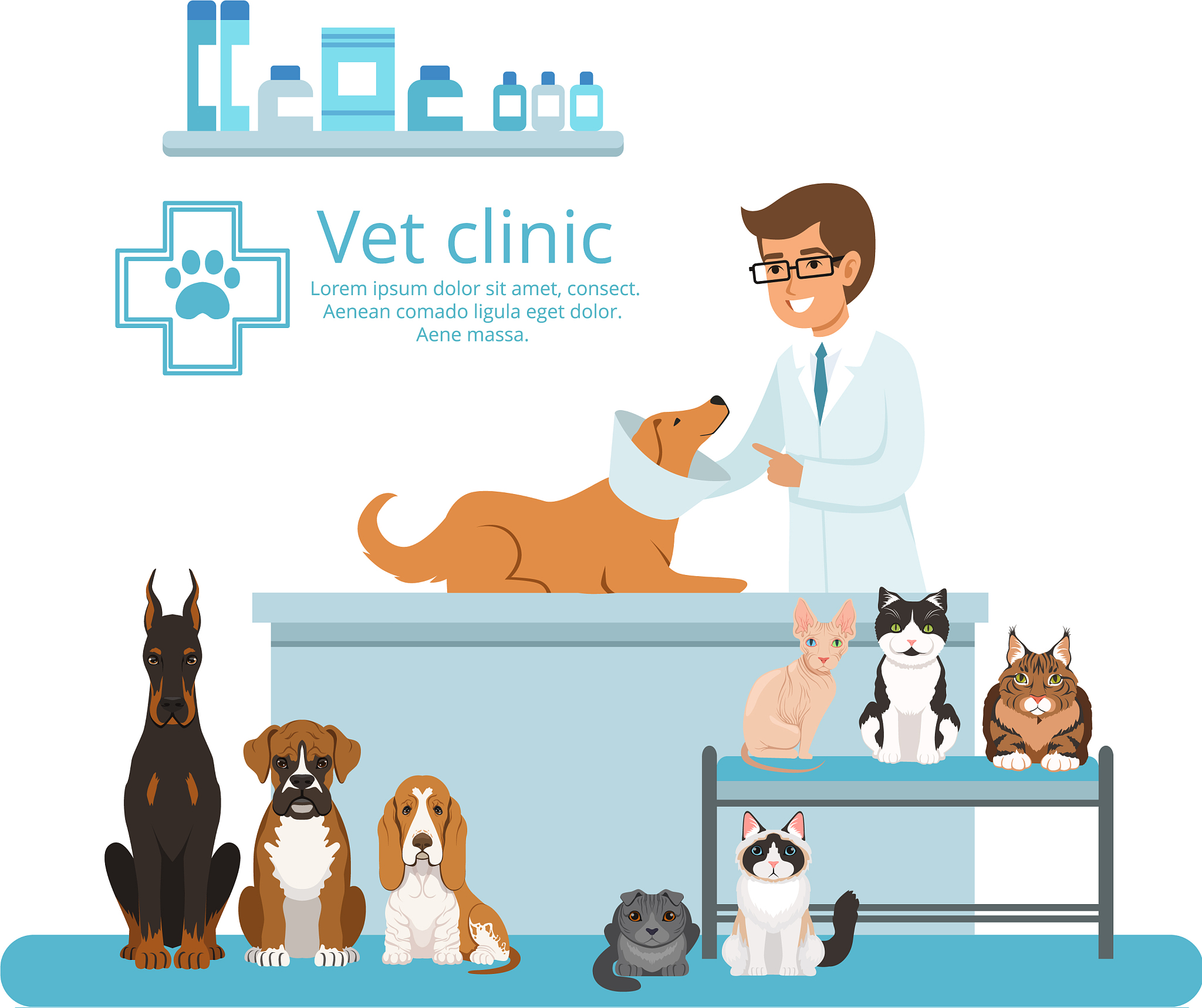 猫的精神状态临床评分