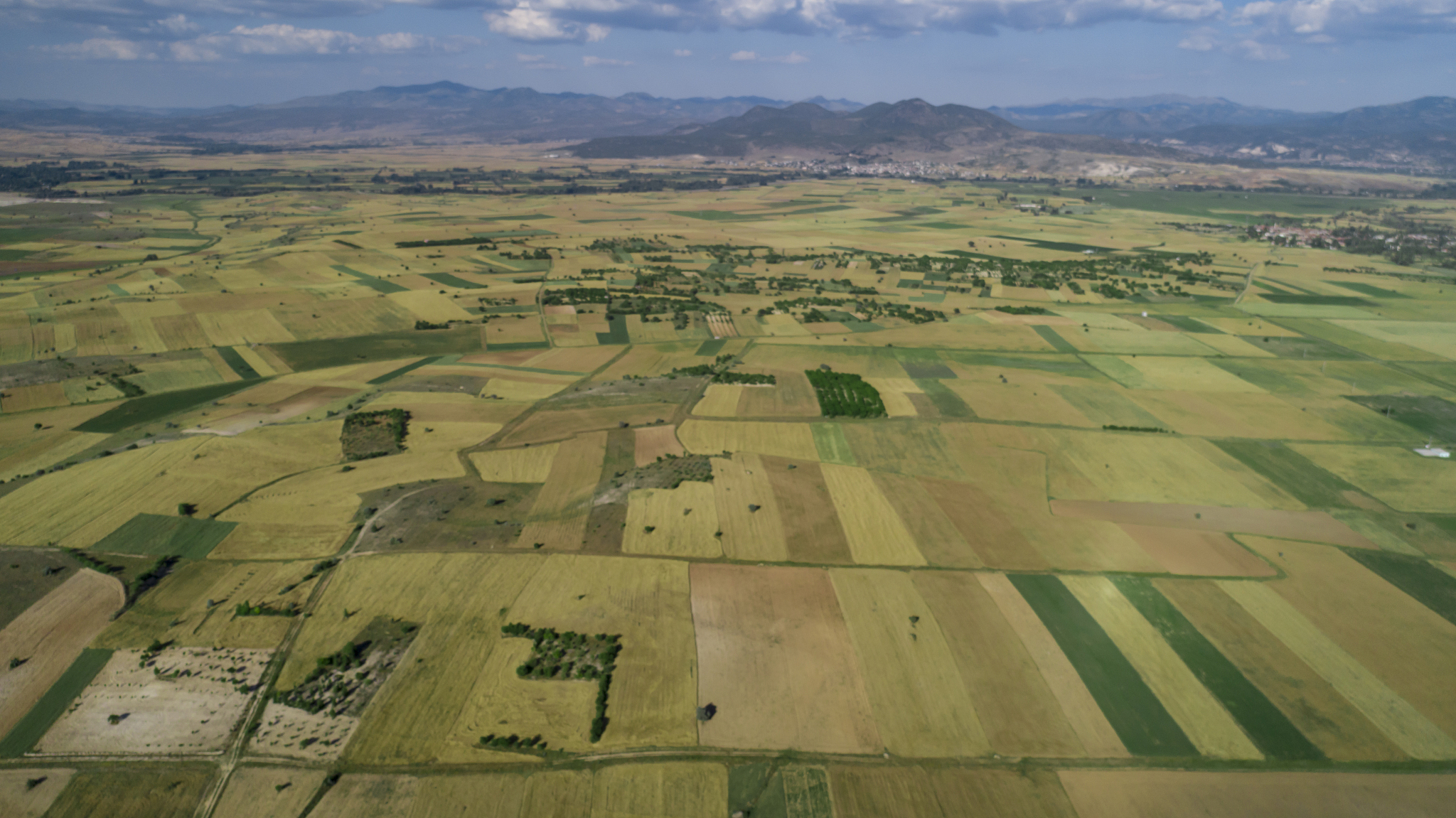 farmland, soils, fields, vineyards, gardens and rural developmen