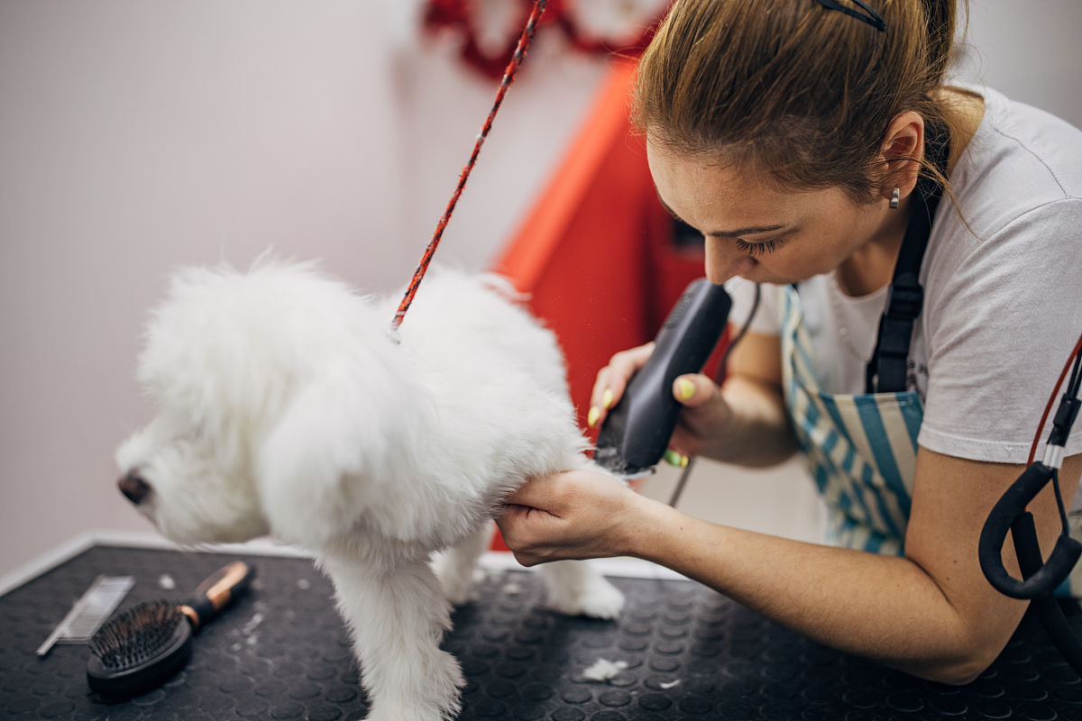 美容评价：如何选择适合你的产品和服务？